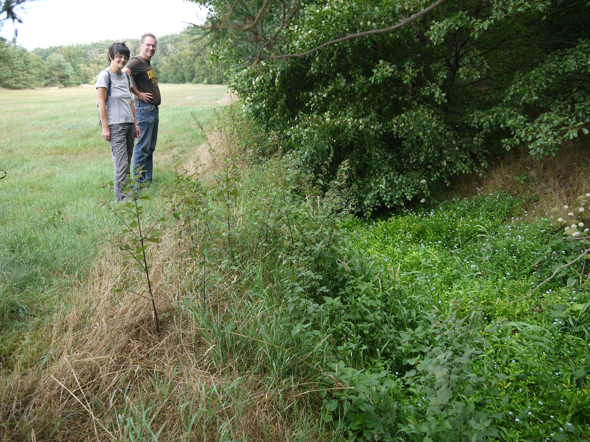 Üppige Vegetation im Krummbek-Bachbett; Foto: Michael Wetzel