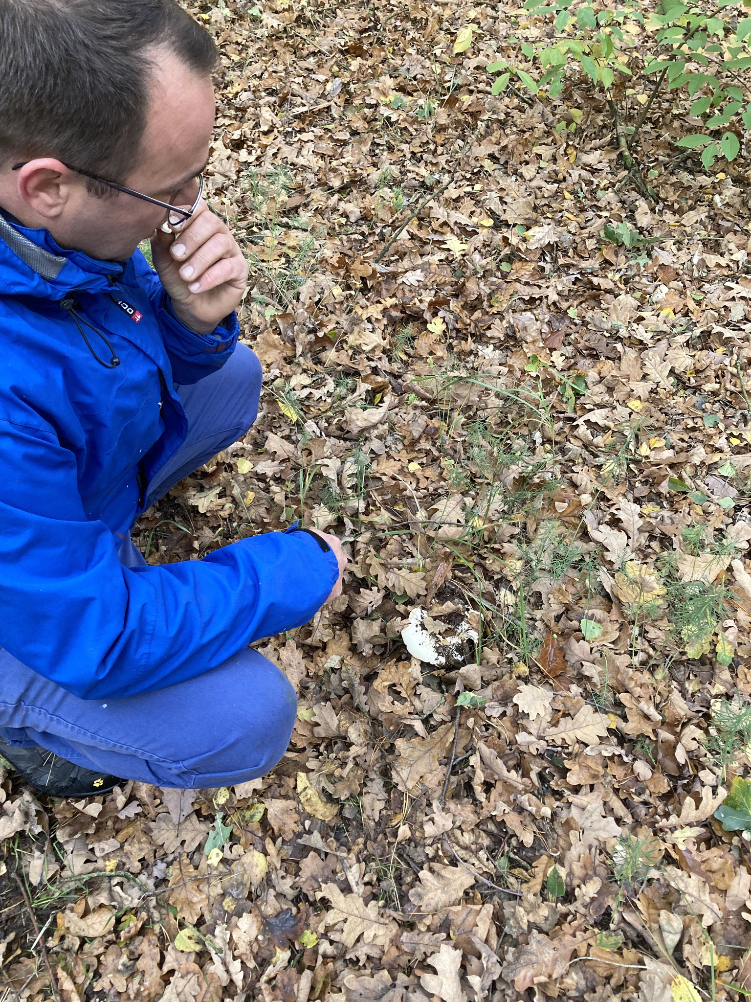 Erdschieberkostprobe; Foto: Michael Wetzel