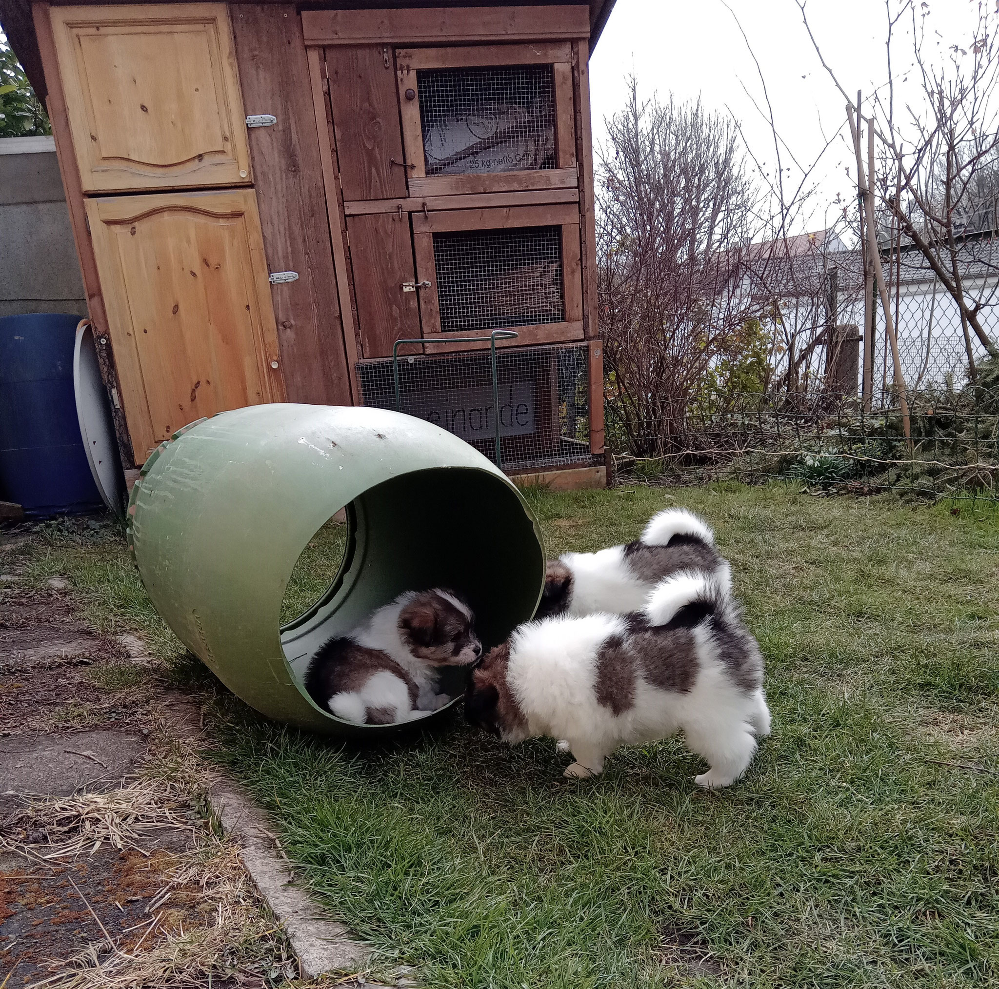 Im Garten