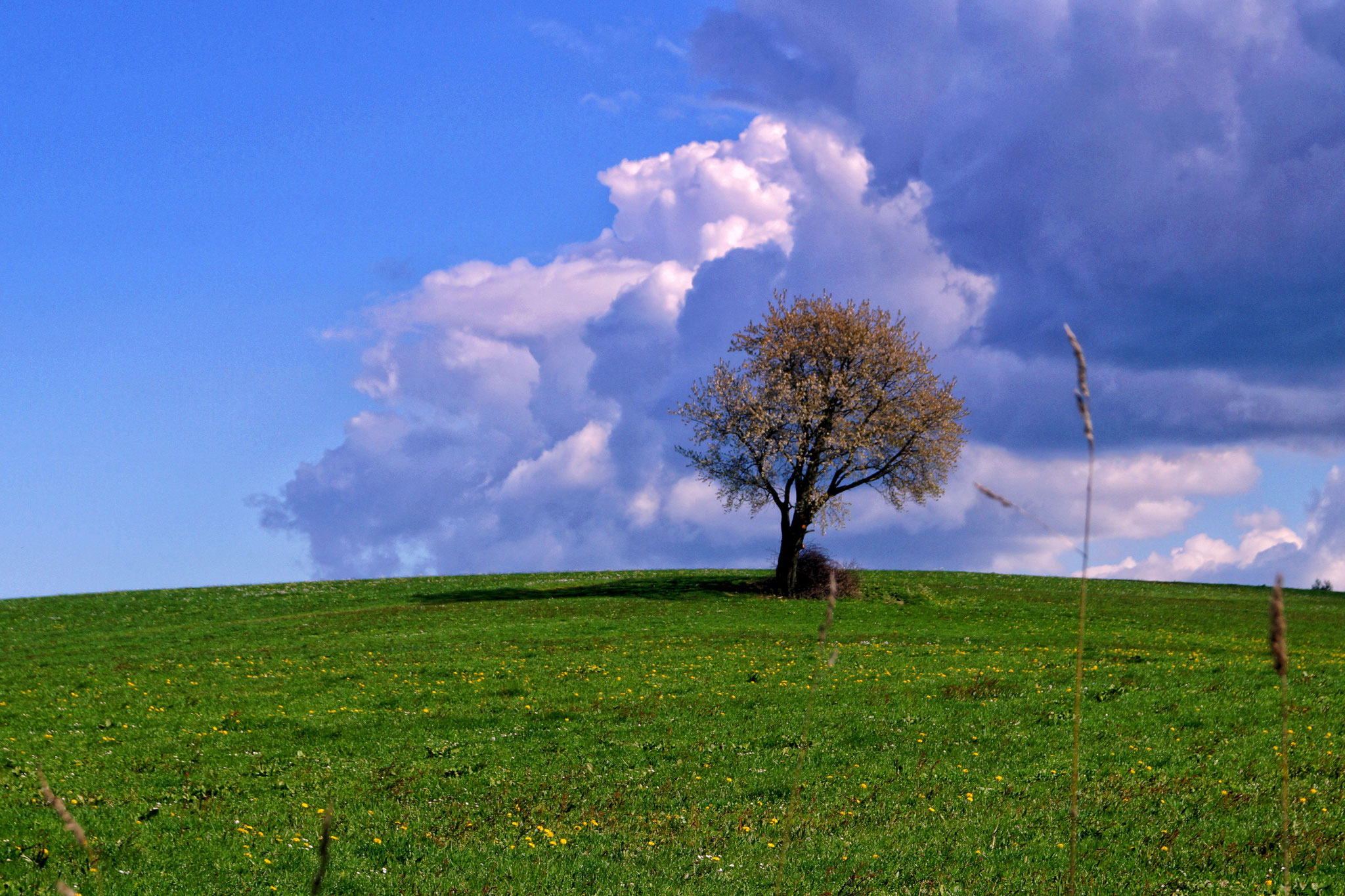 Wandergebiet Rhön - Rotes Moor