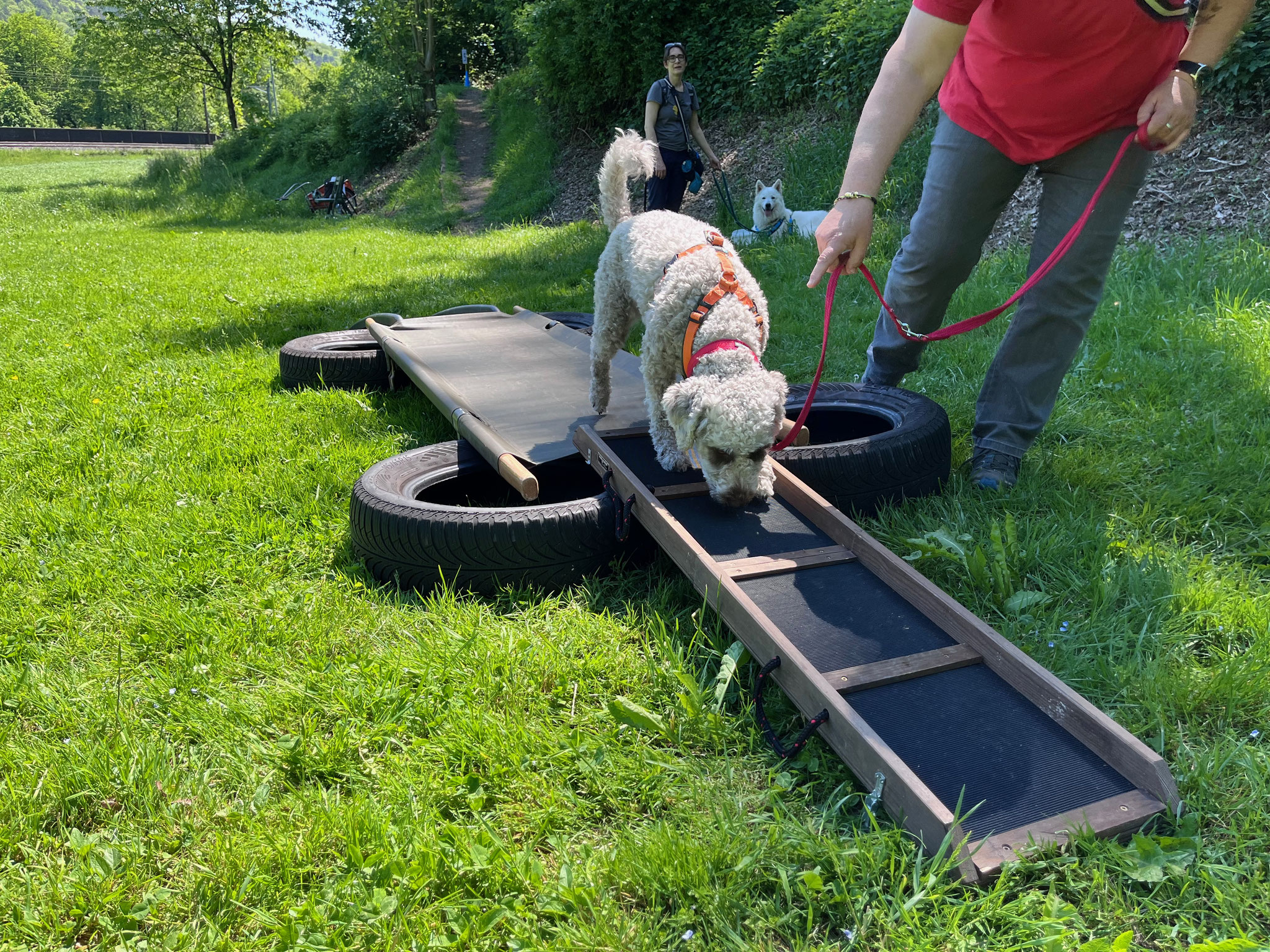 17_KVSO_Triainigswiese_Ruttigerweg_Olten