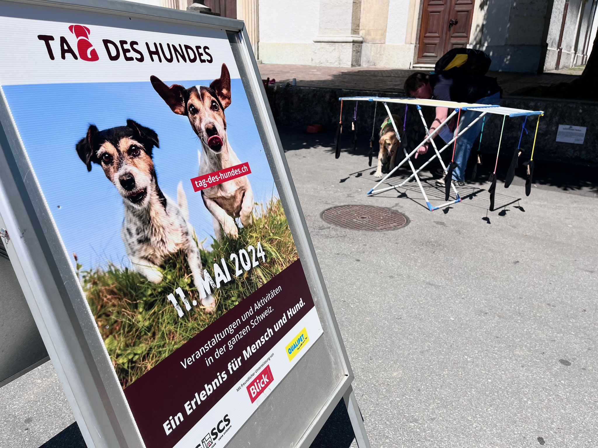 04_1. Posten_Military_Tag-des-Hundes_Olten