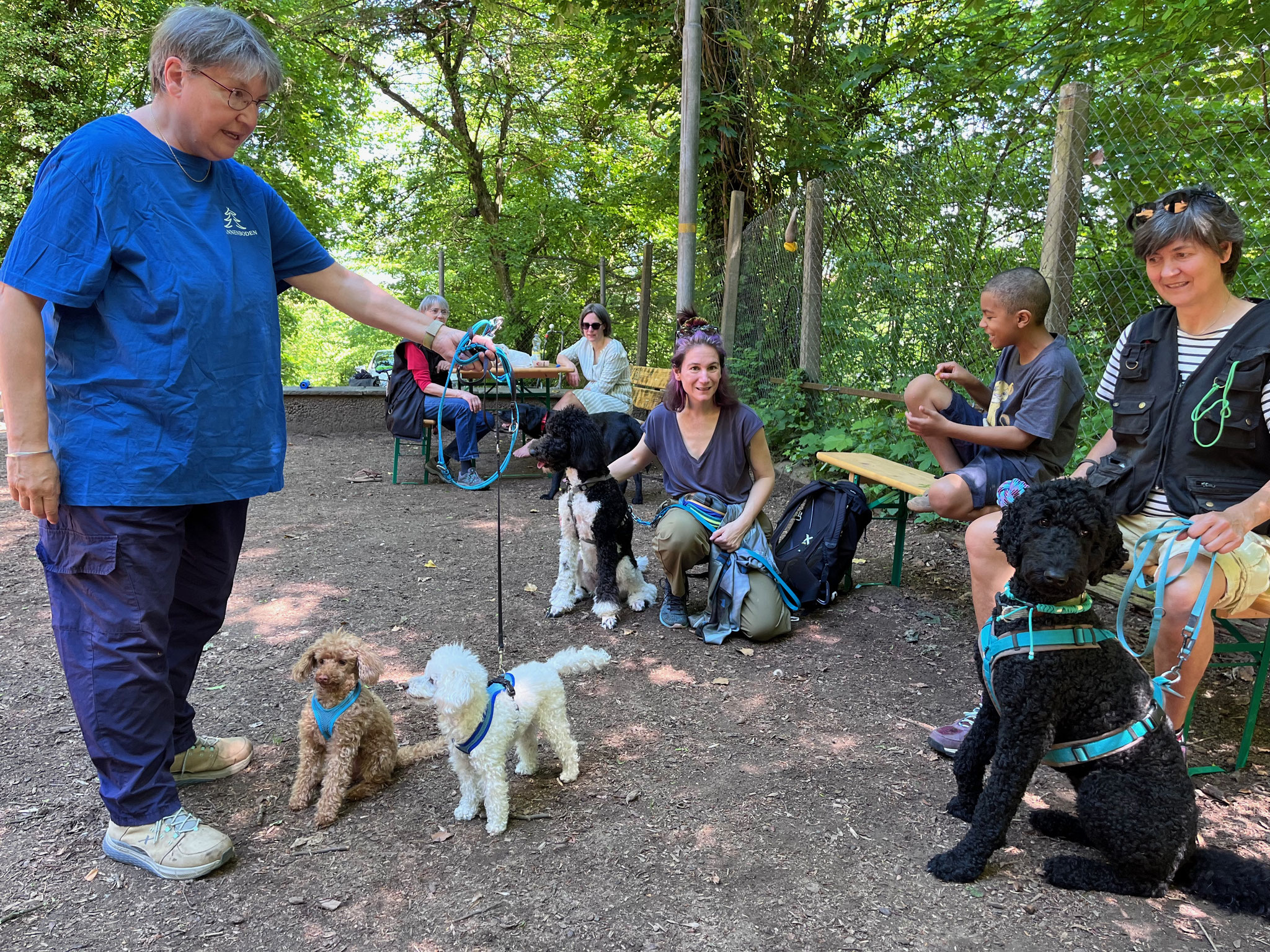 28_Hunde und Menschen geniessen den Austausch