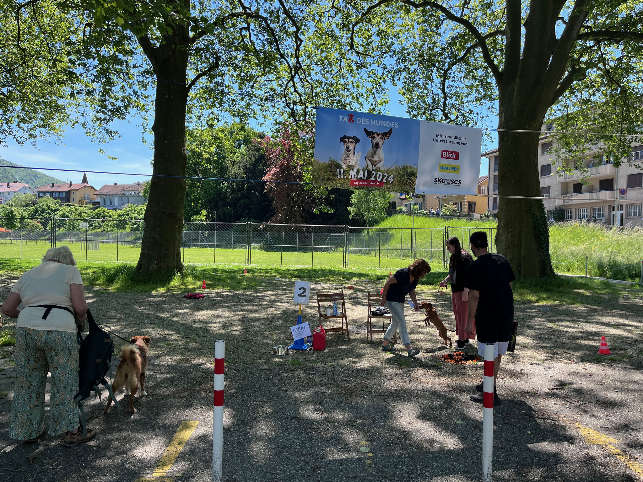 09_Stadtverein_Hundetraining_Posten-2