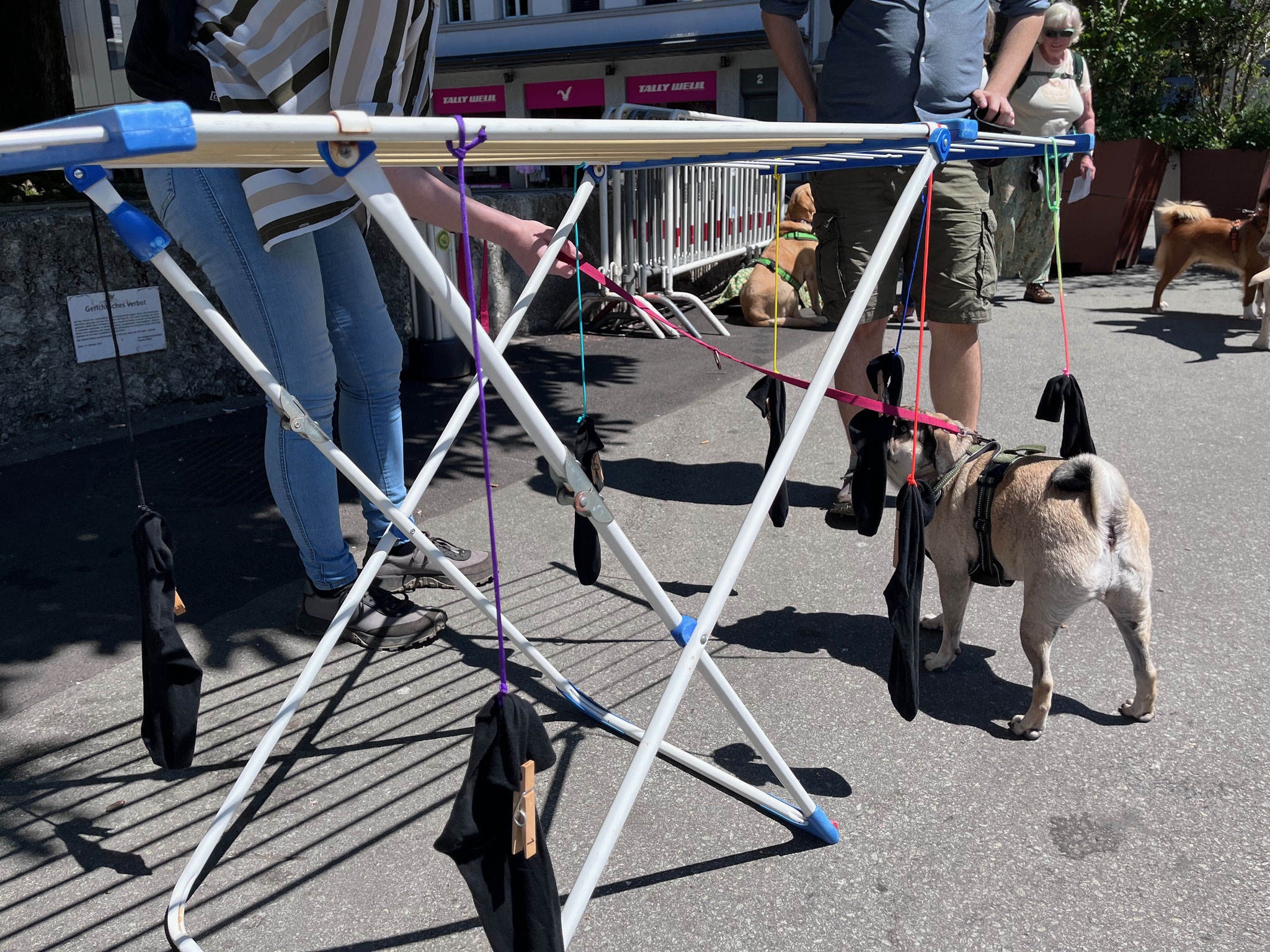 07_Schnuppern beim KVSO