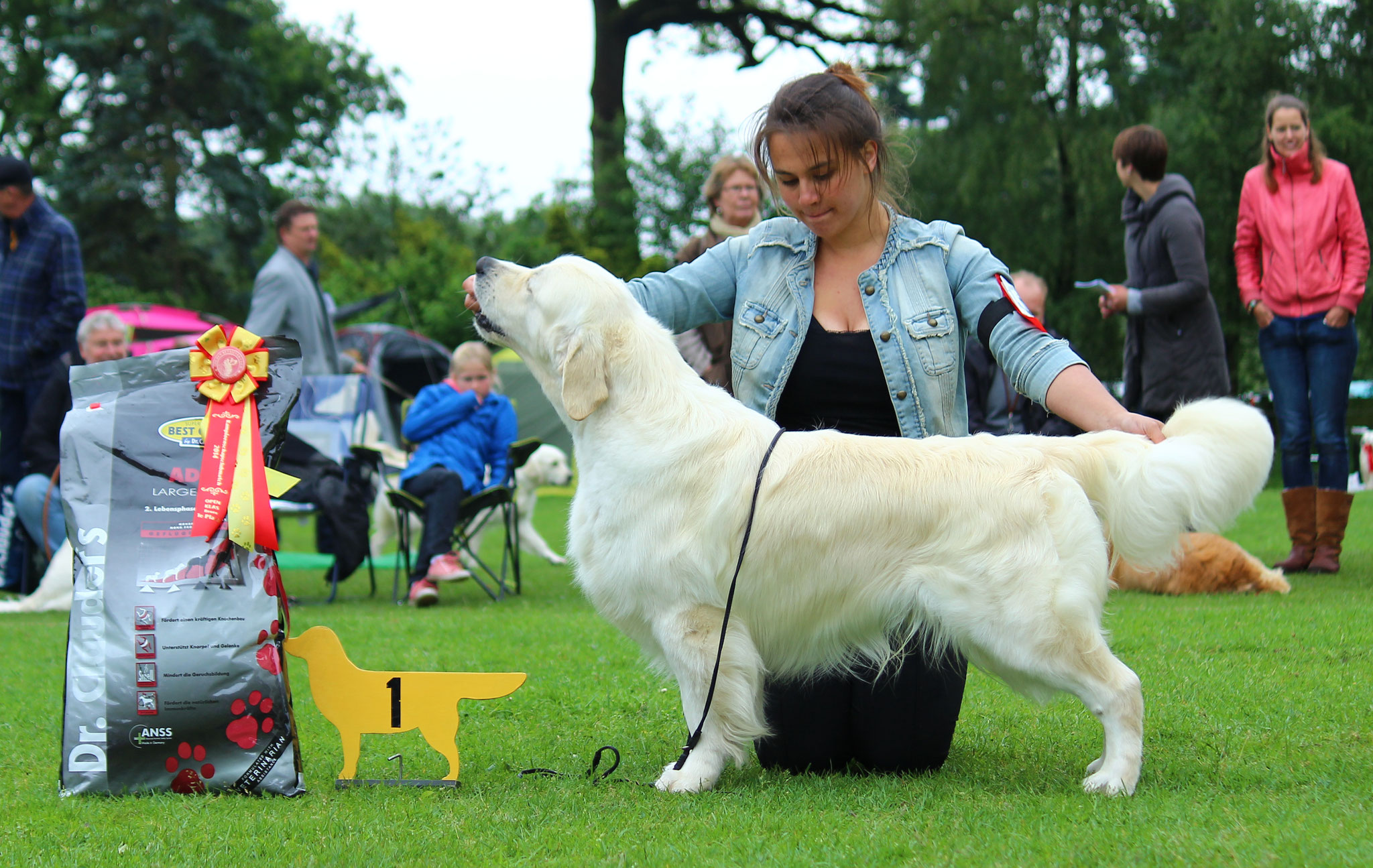 Jackson BIS @ GRCN Club Show, May 2014, Judge: Mrs Ruth Barbour