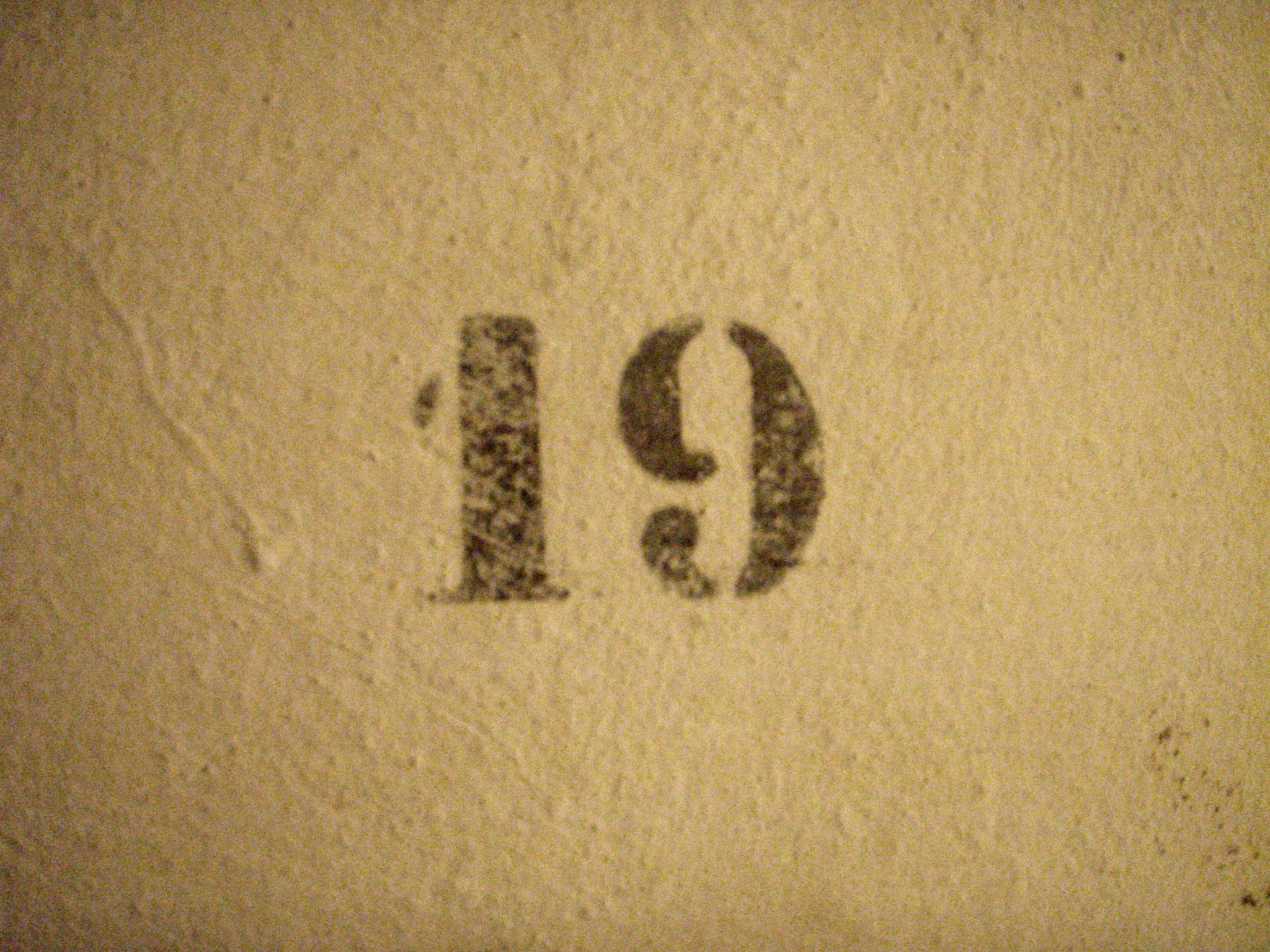 19