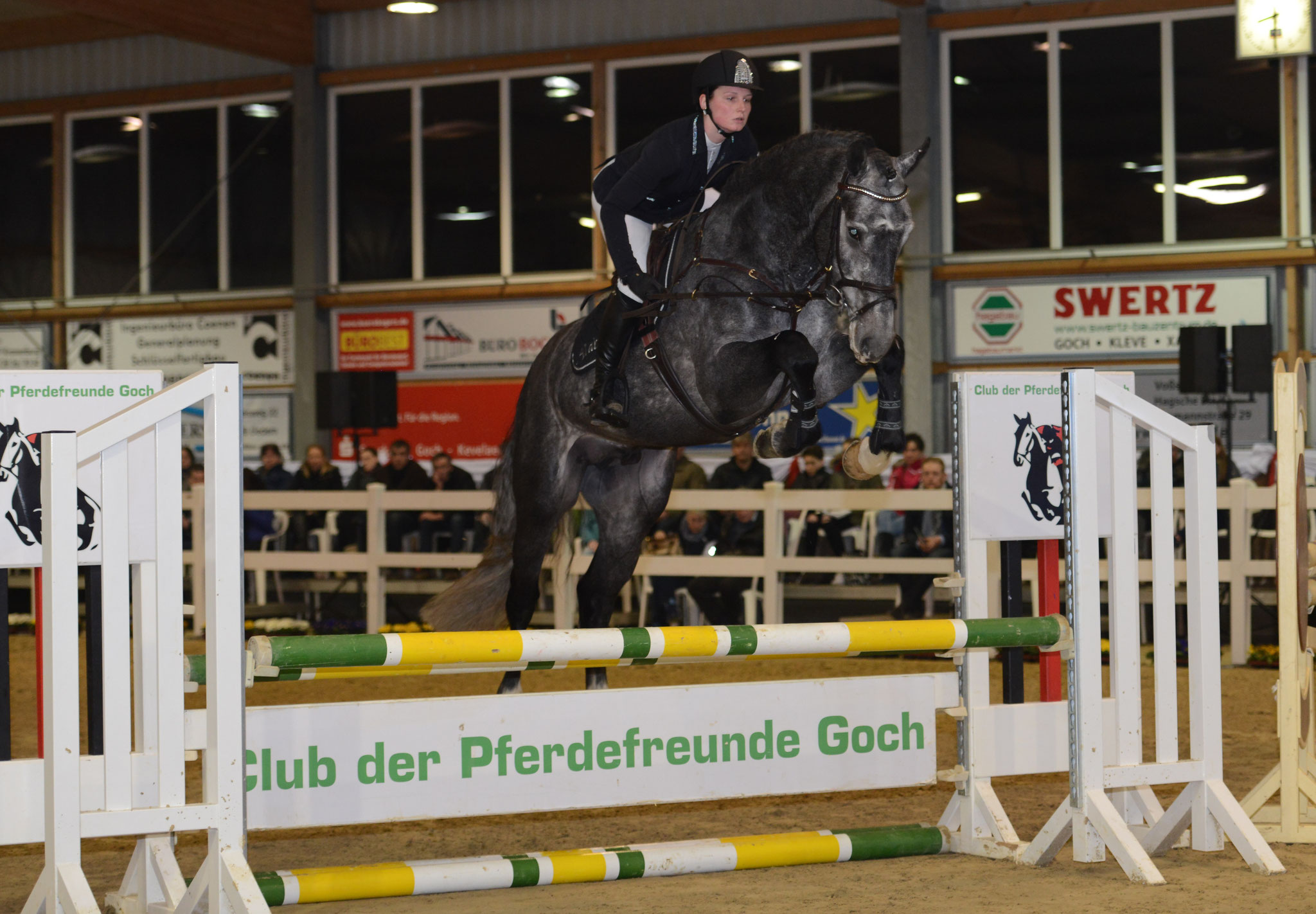 Hengstschau 2016 in Goch