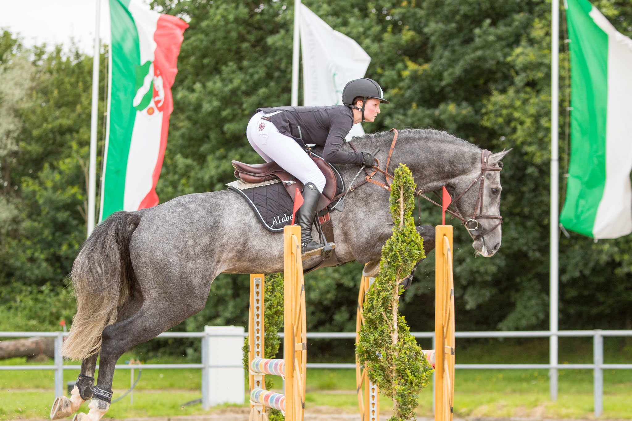 Sieg in der Springpferde L 2016 in Langenfeld