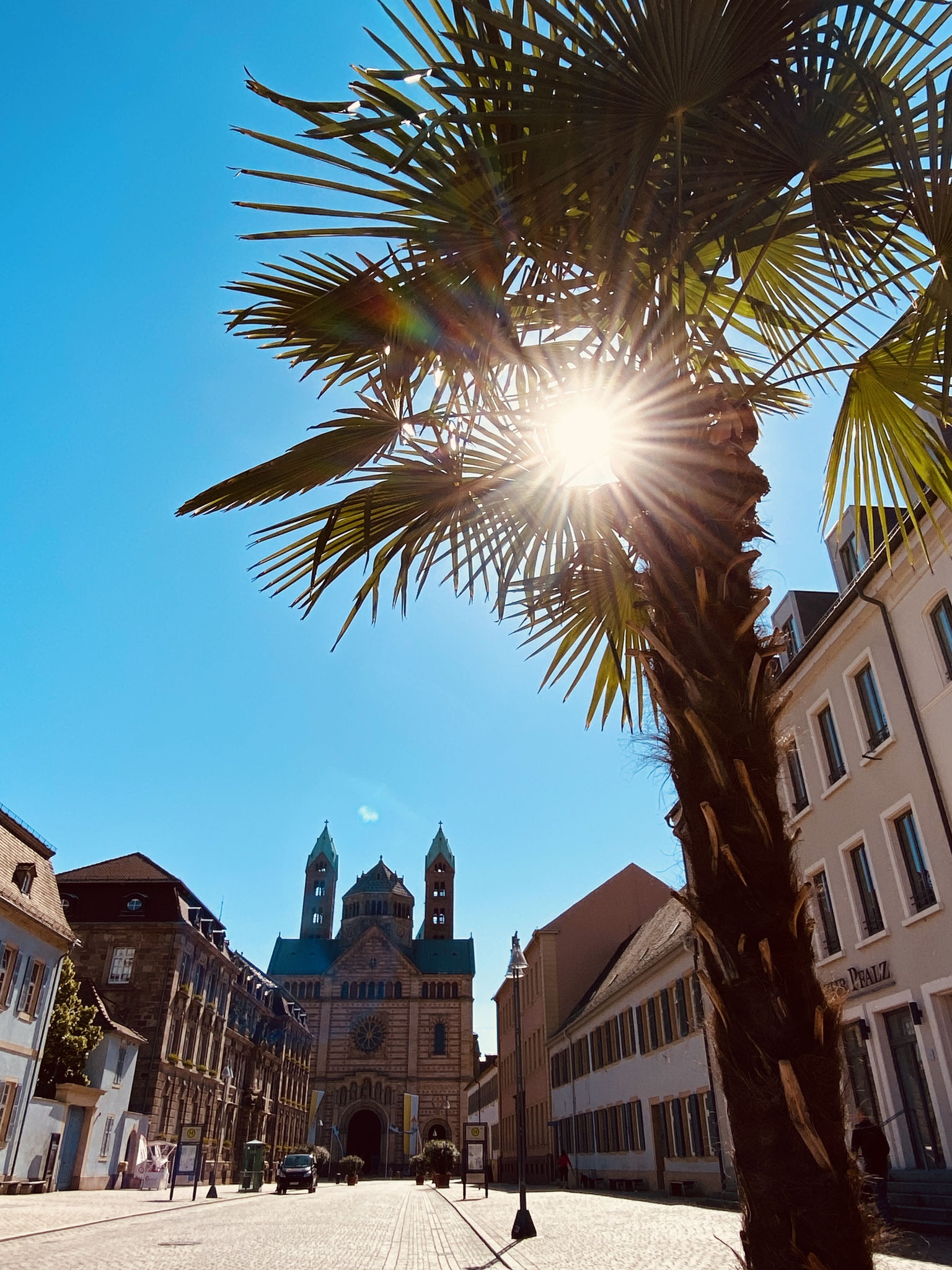 Der Blick von unserer Terrasse zum Speyerer Dom