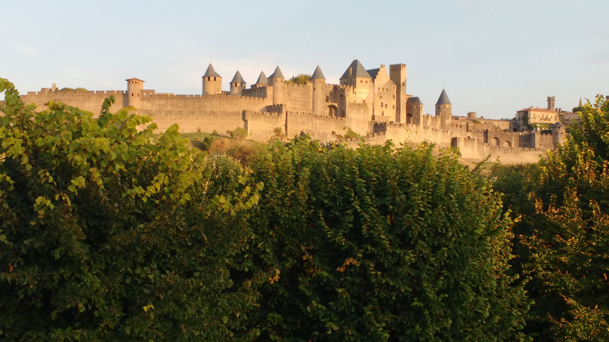 Eindunt van de Franse Variante : cité van Carcassonne