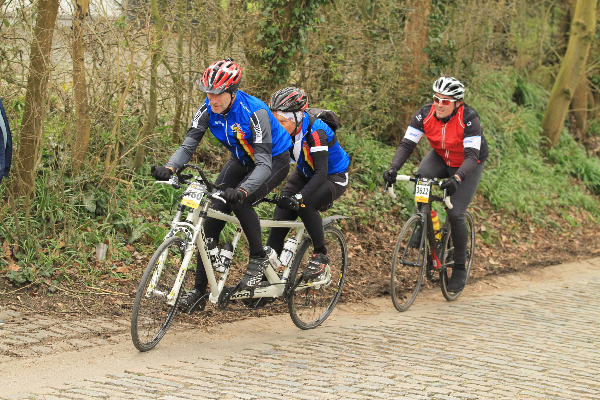 Ronde Van Vlaanderen met de tandem