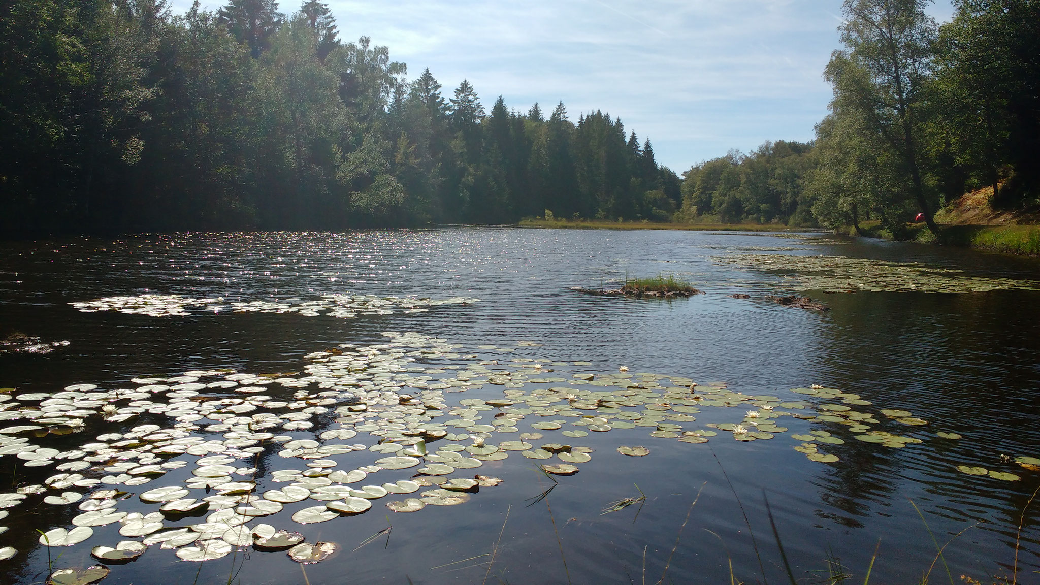 La Petite Finlande of Plateau des milles étangs