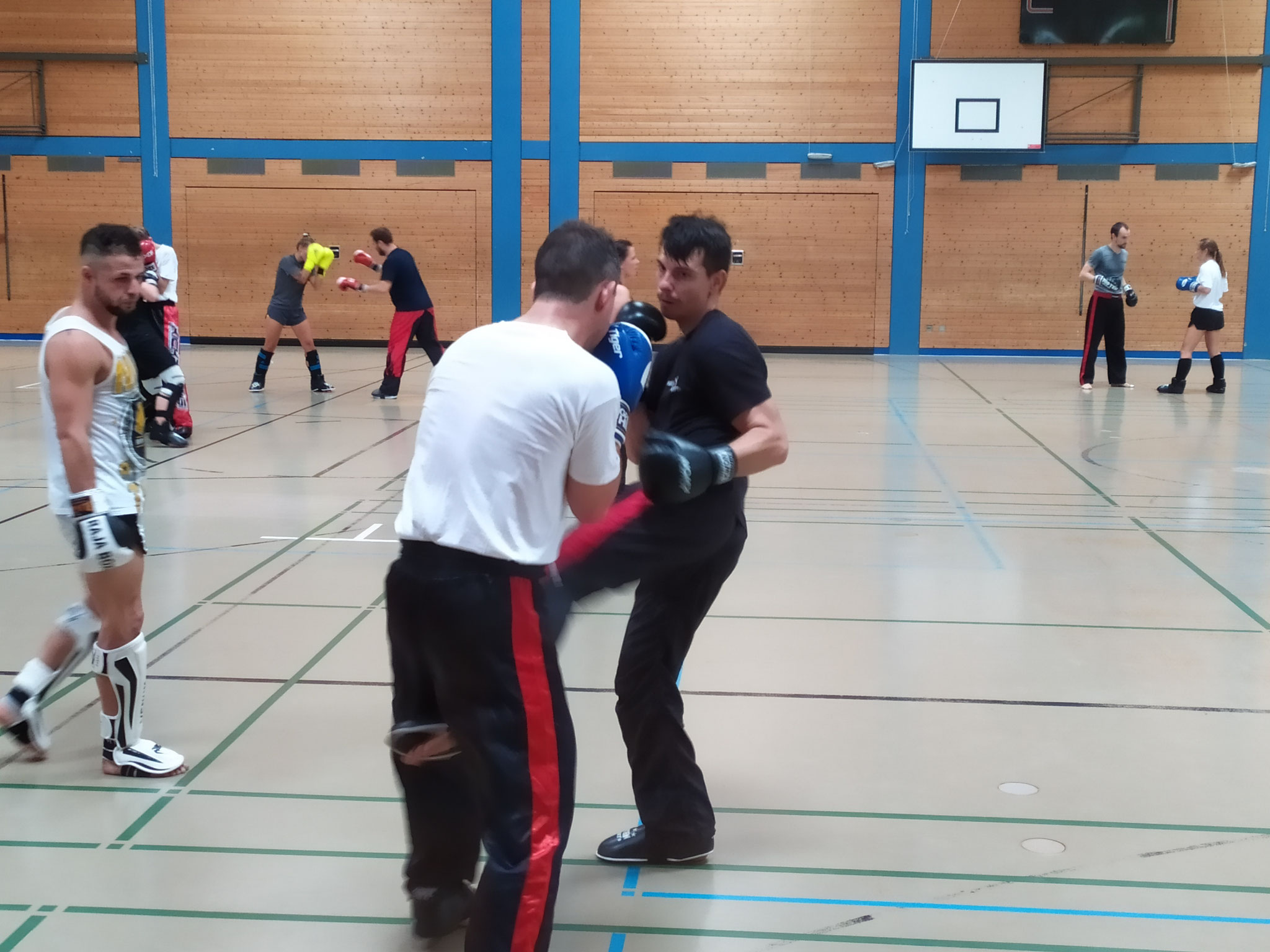 Trainerschein C-Lizenz Breitensport Kickboxen - Kampfsport / Kickboxen ...