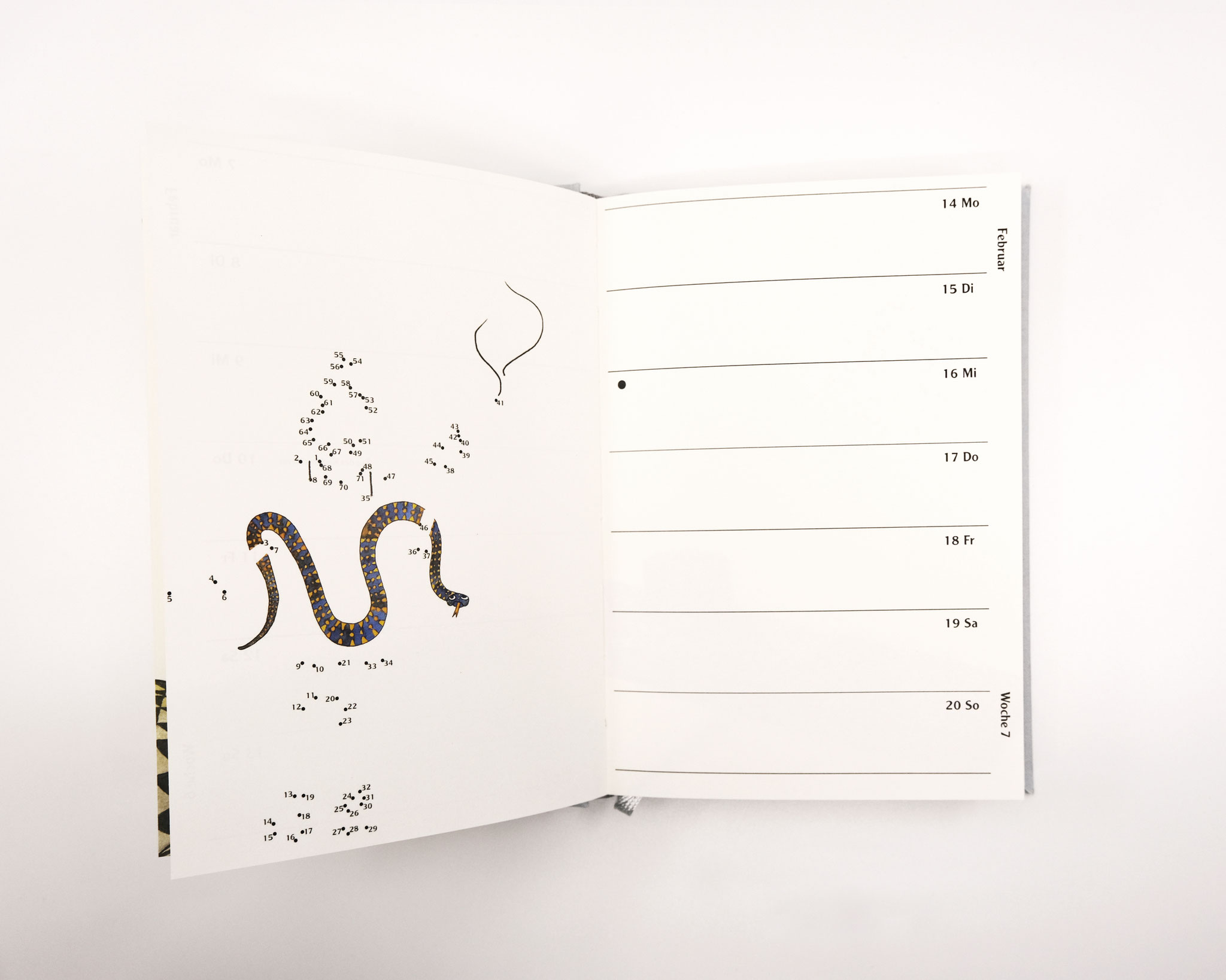 Illustration: Lena Tamini 