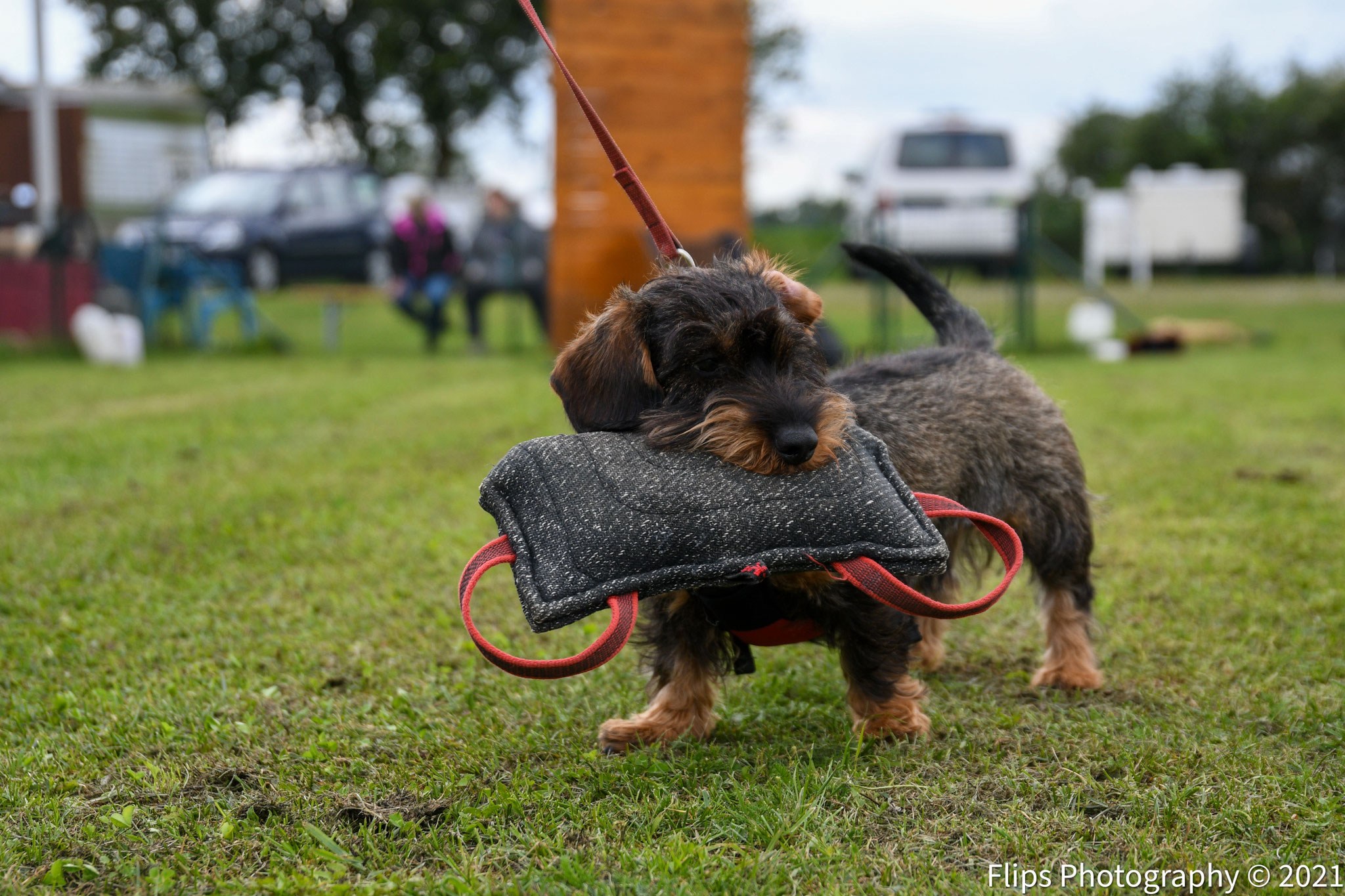 Hudesporttreffen12