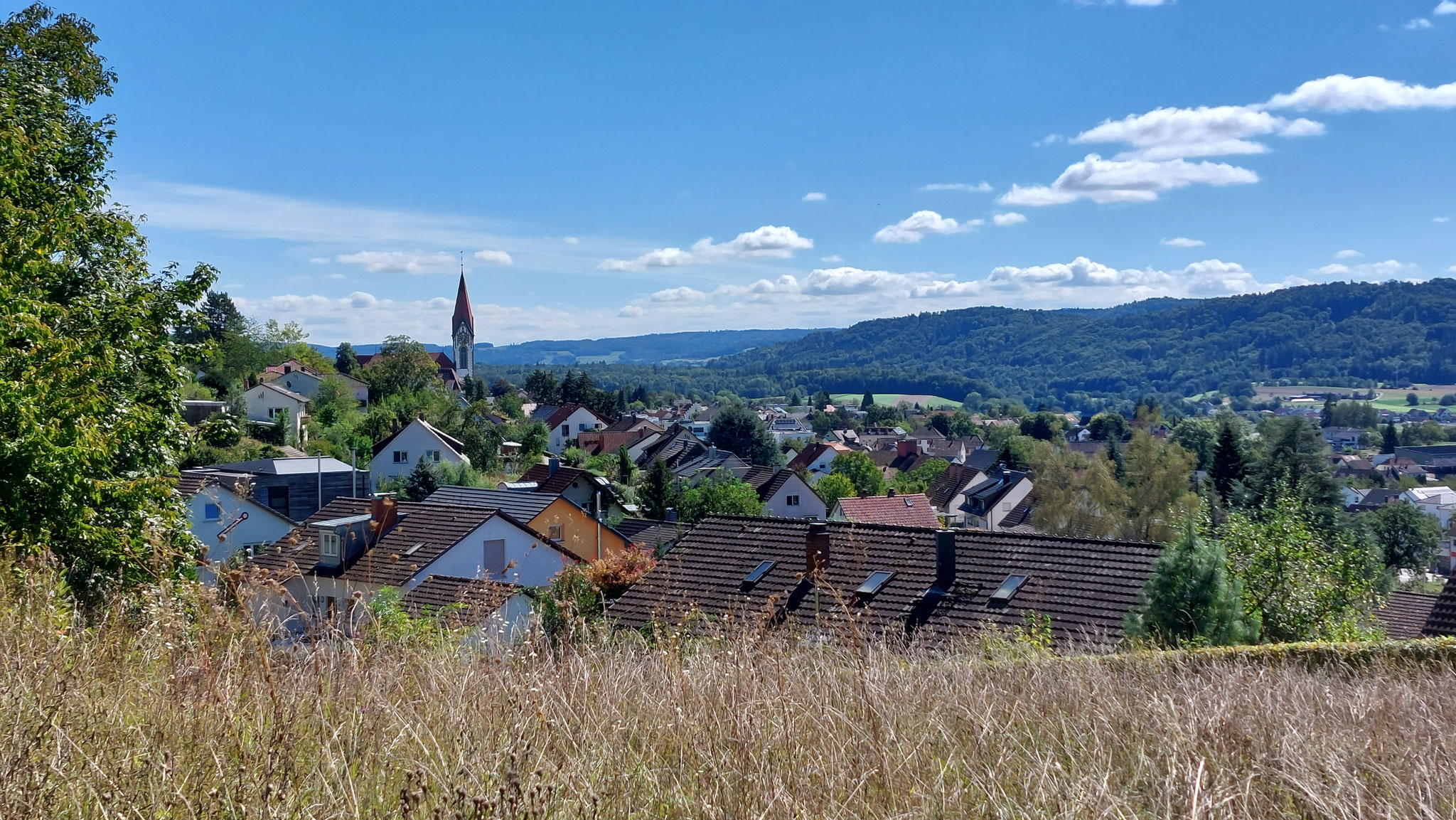 Blick über Gailingen. Der Dorfkern liegt auf einer alten Flussterrasse des Rheins. 