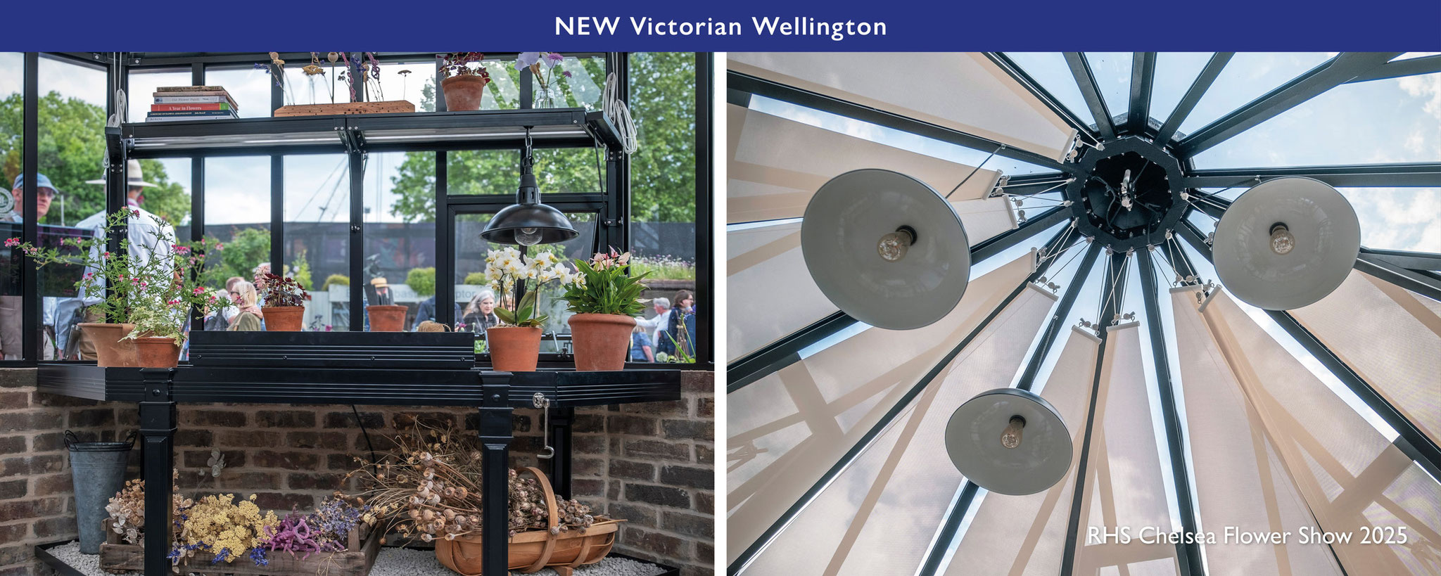 Hartley Botanic - Victorian Wellington 