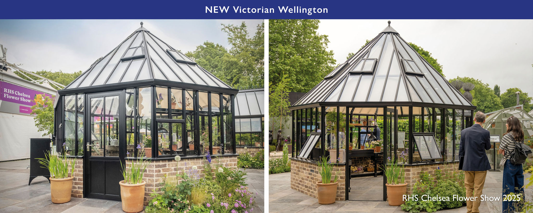 Hartley Botanic - Victorian Wellington