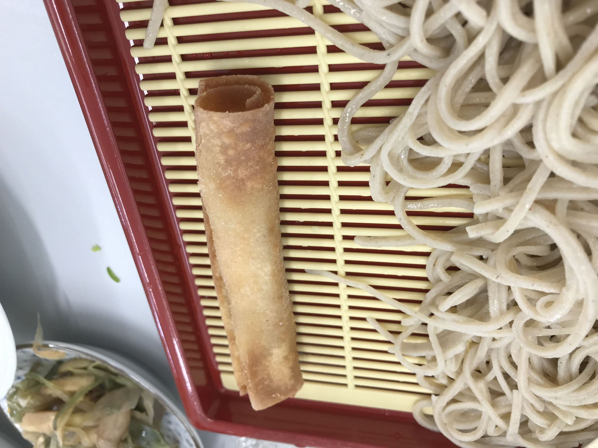 春巻き風ものせてみました