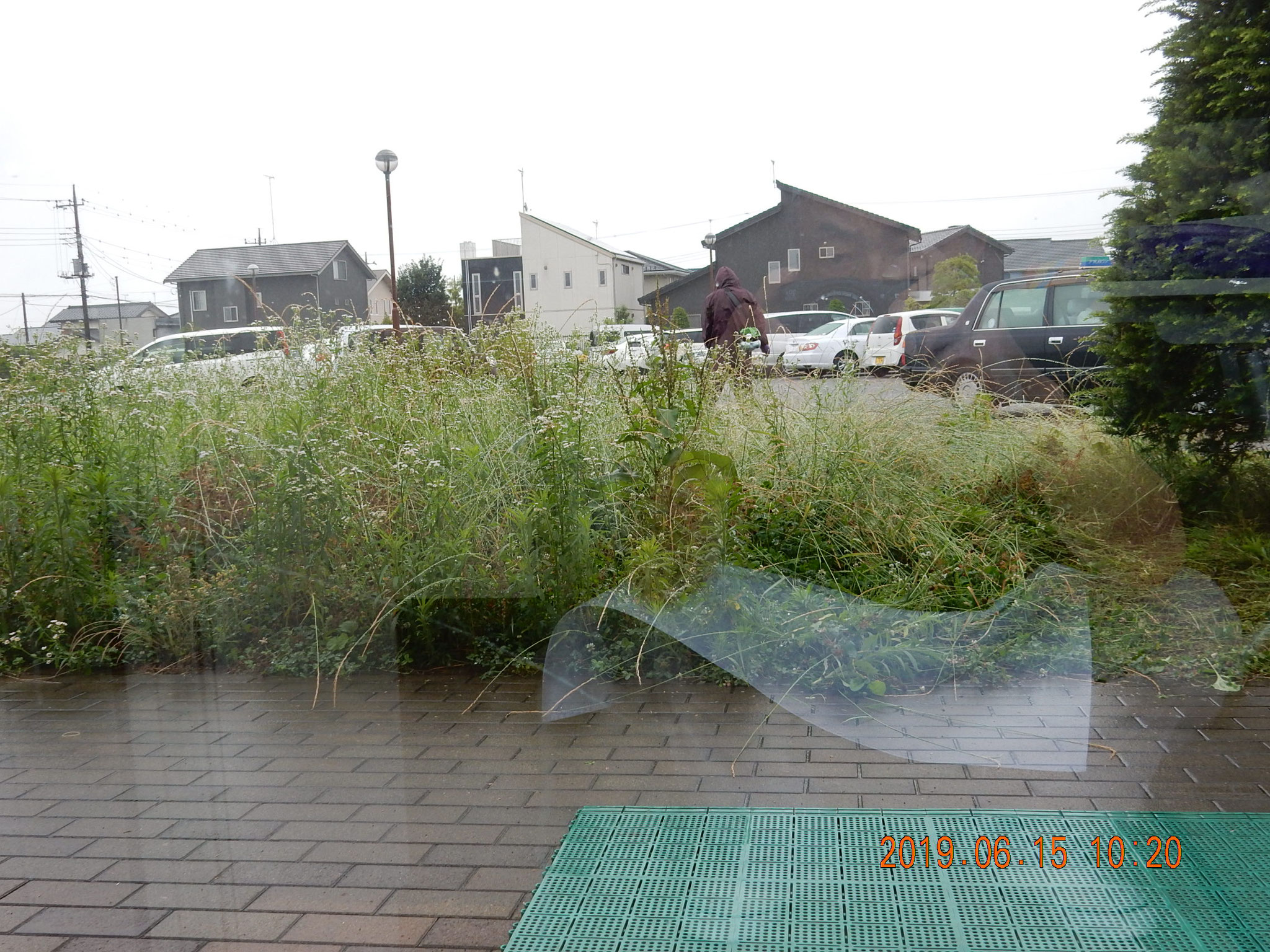 梅雨空の中、道場前の草刈りご苦労様です。腕は初段チョット手前？