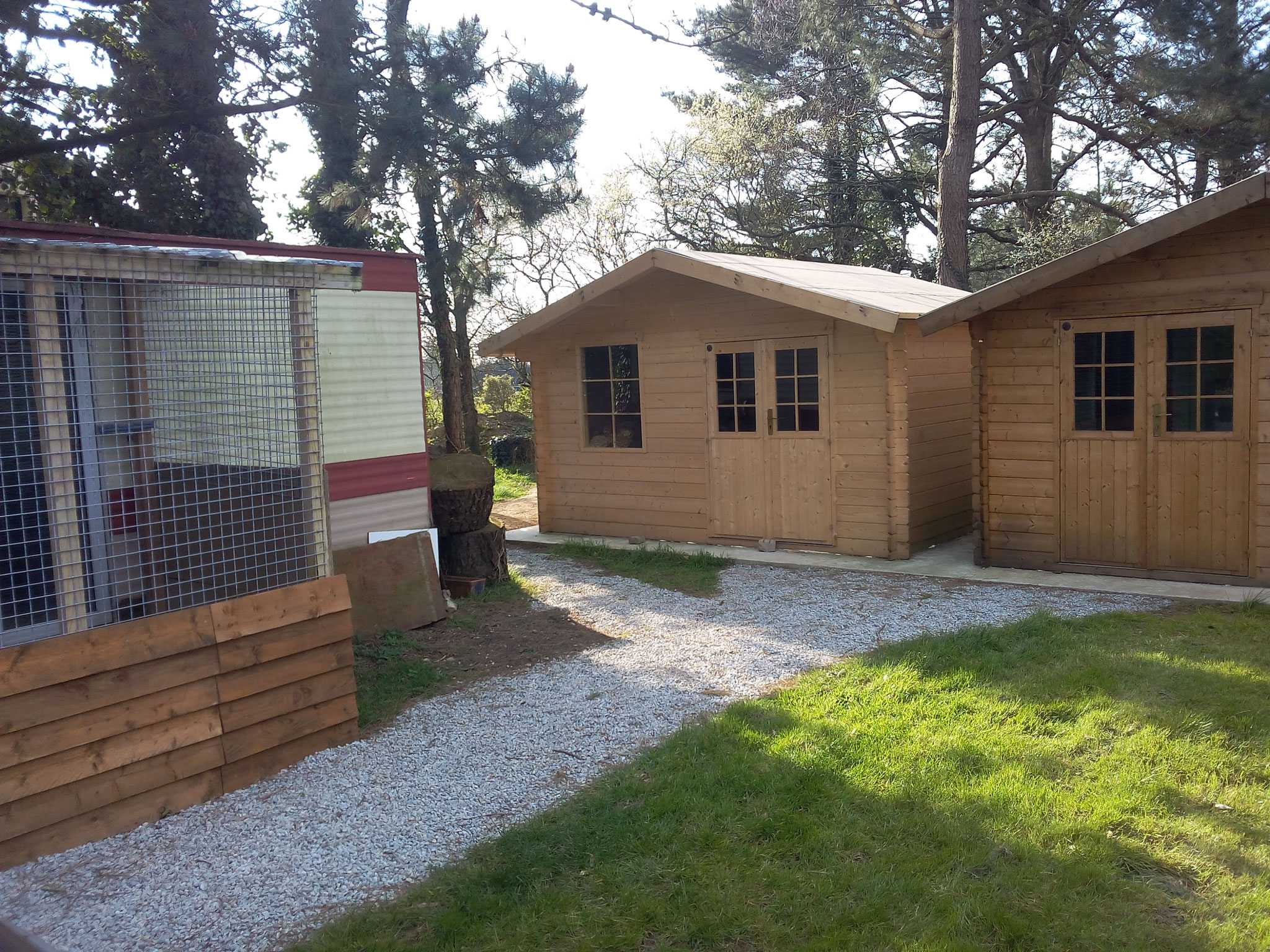 Notre Pension Pour Chats Pension Pour Chiens Et Chats De