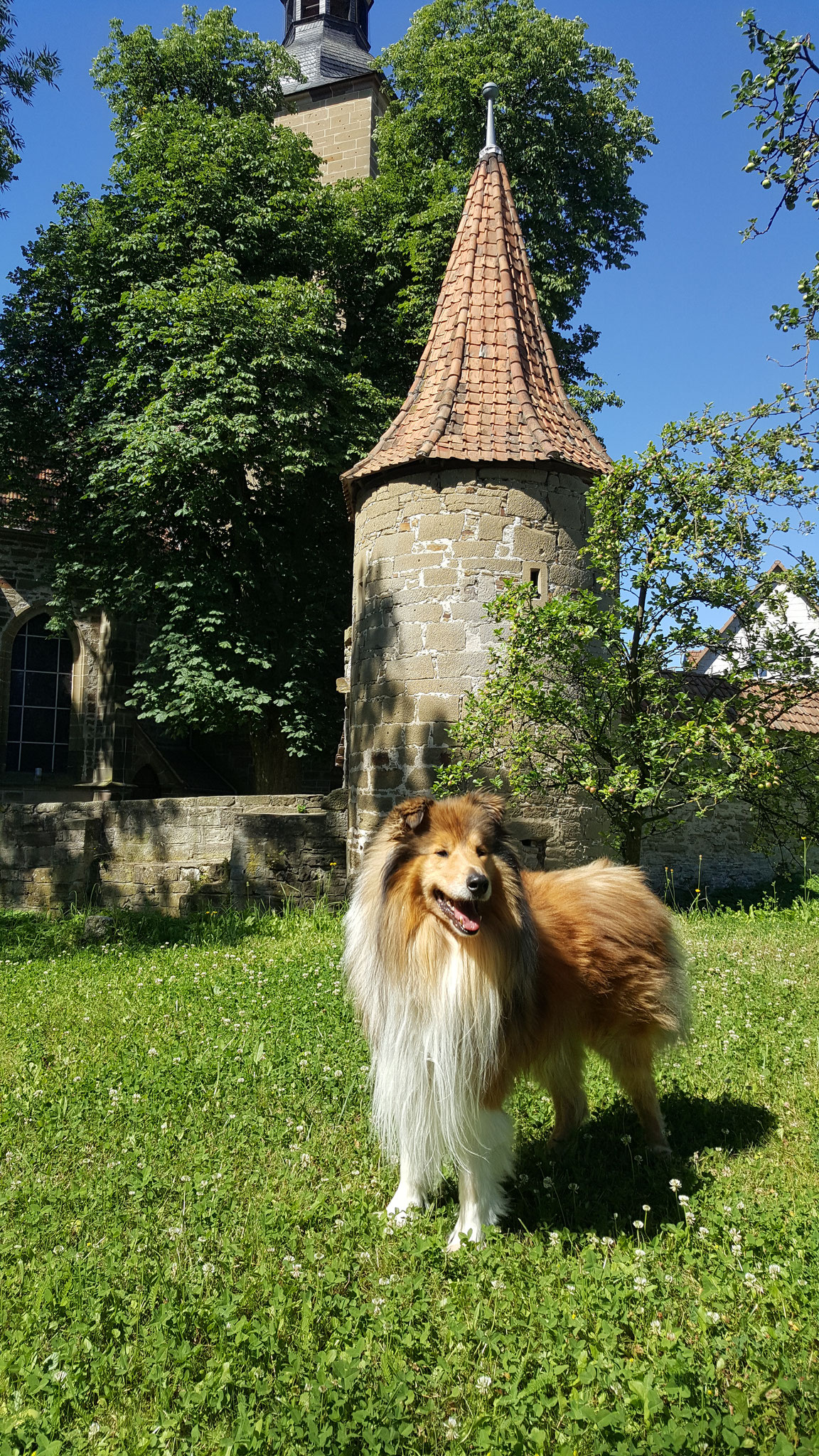 Im Park Bad Rodach vor der Burgmauer