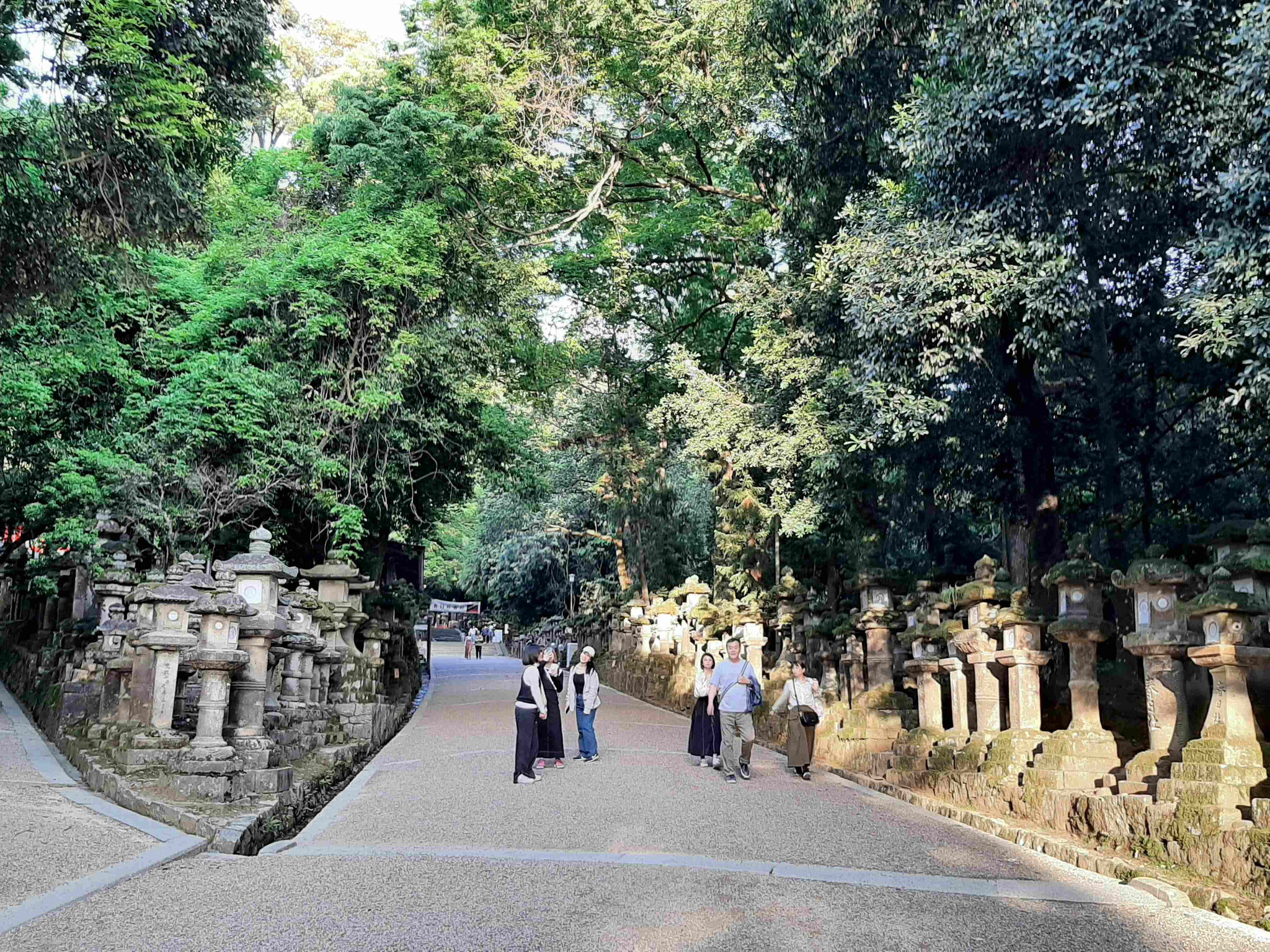 camino al Kasuya Taisha