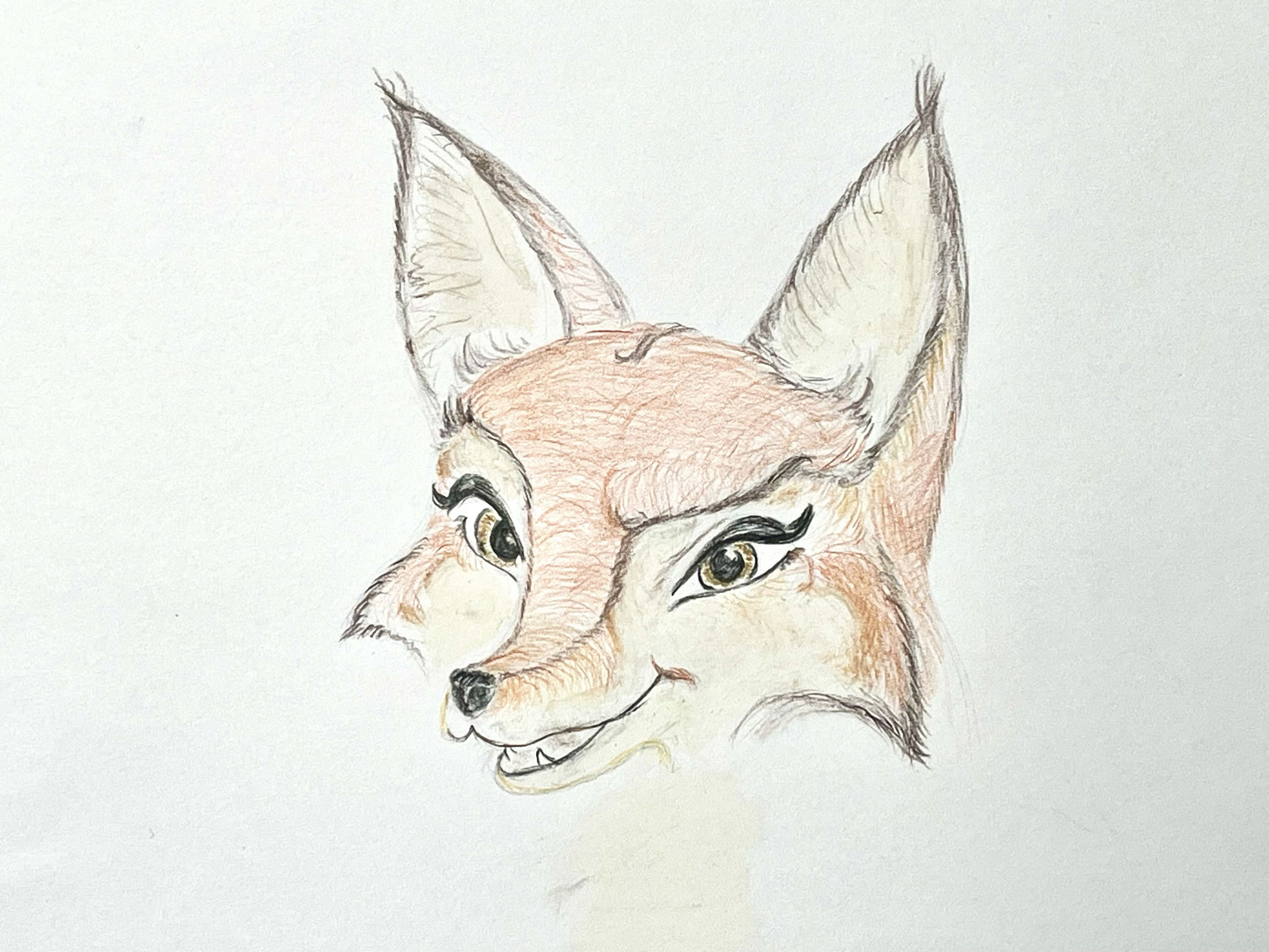 Entwurf Wildling Fuchsmaskottchen