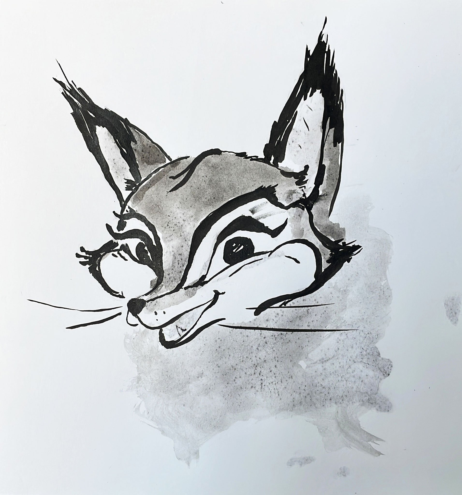 Entwurf Wildling Fuchsmaskottchen