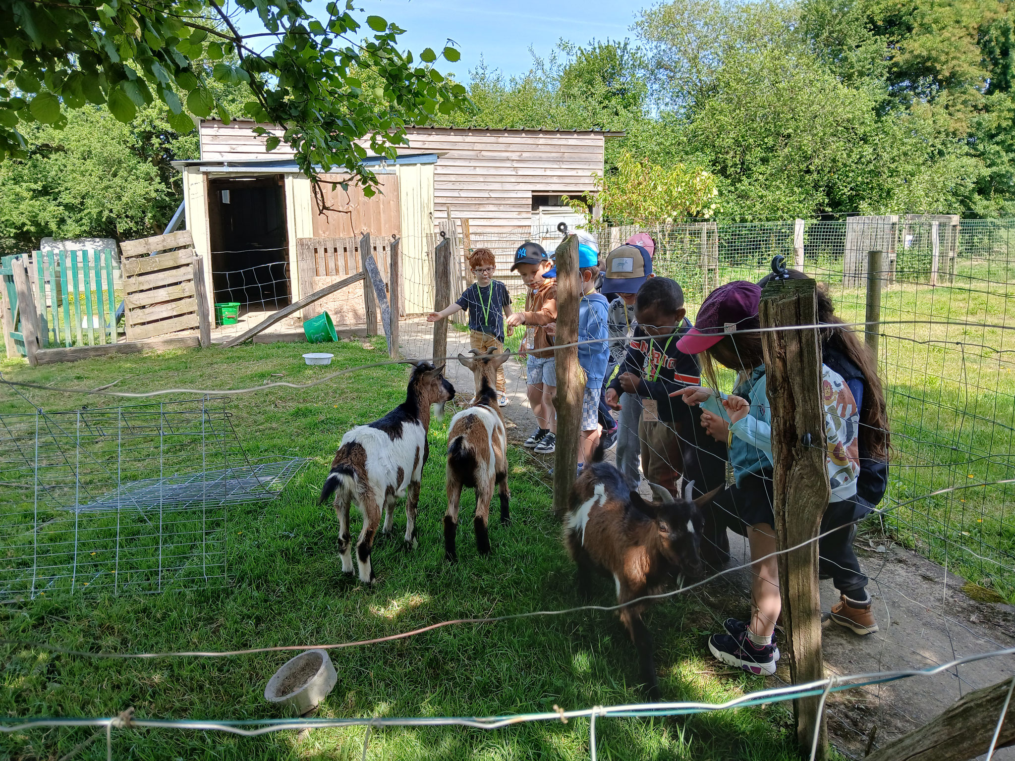 PS/MS sortie scolaire à la ferme