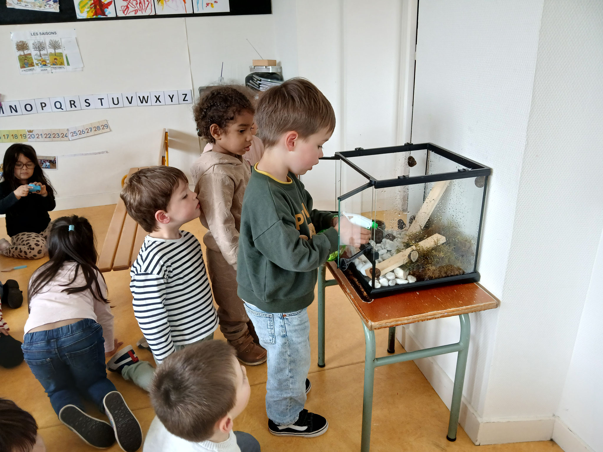TPS-PS élevage d'escargots