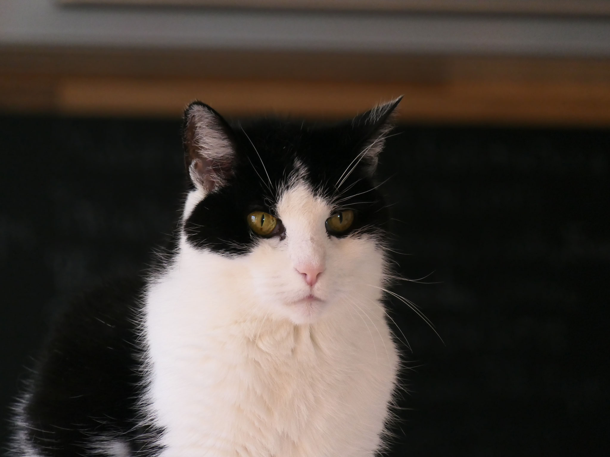 Philipp, gest. 2025 (geb. 2003)