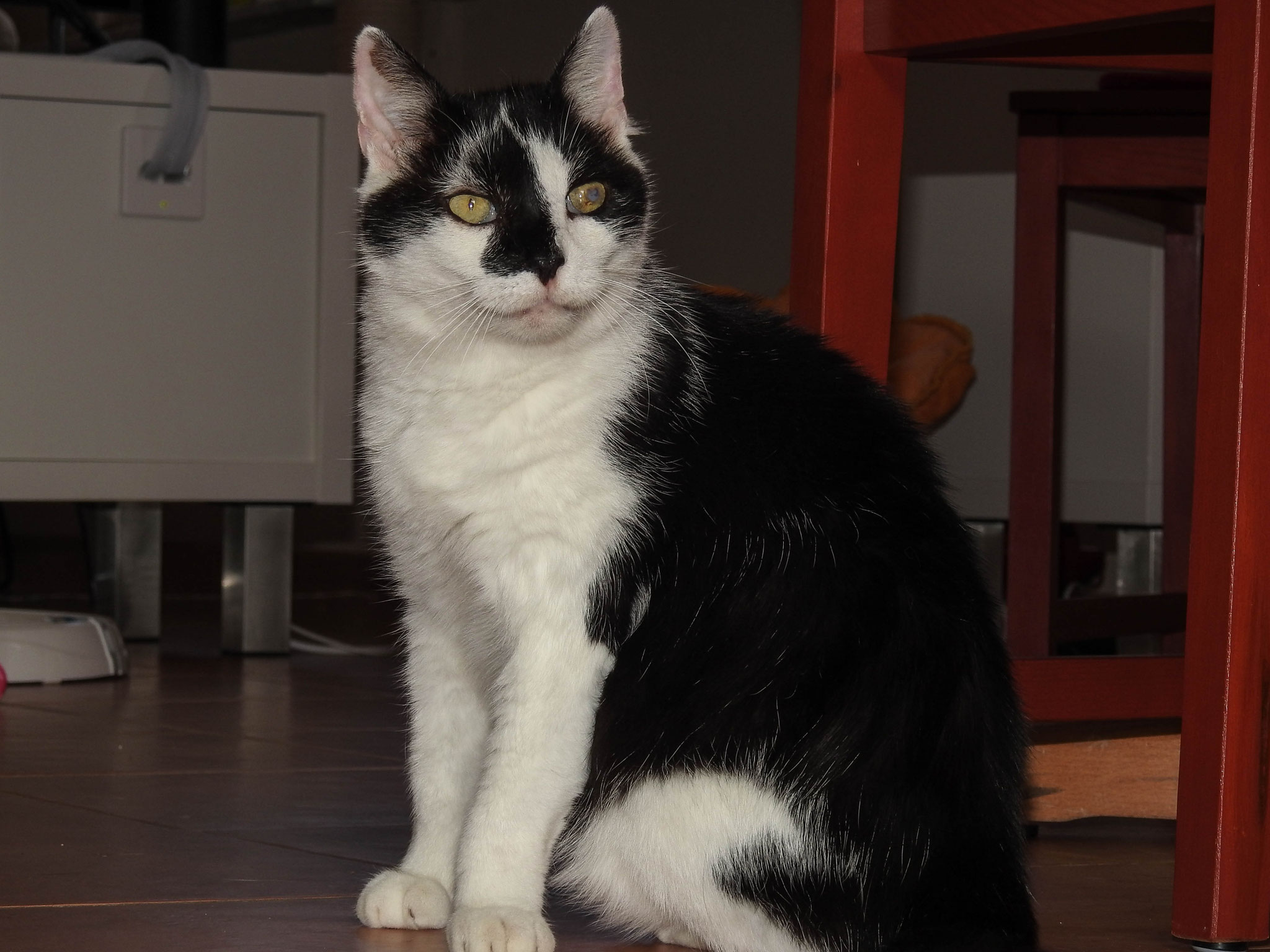 Stani, gest. 2018 (Geburtsdatum unbekannt)