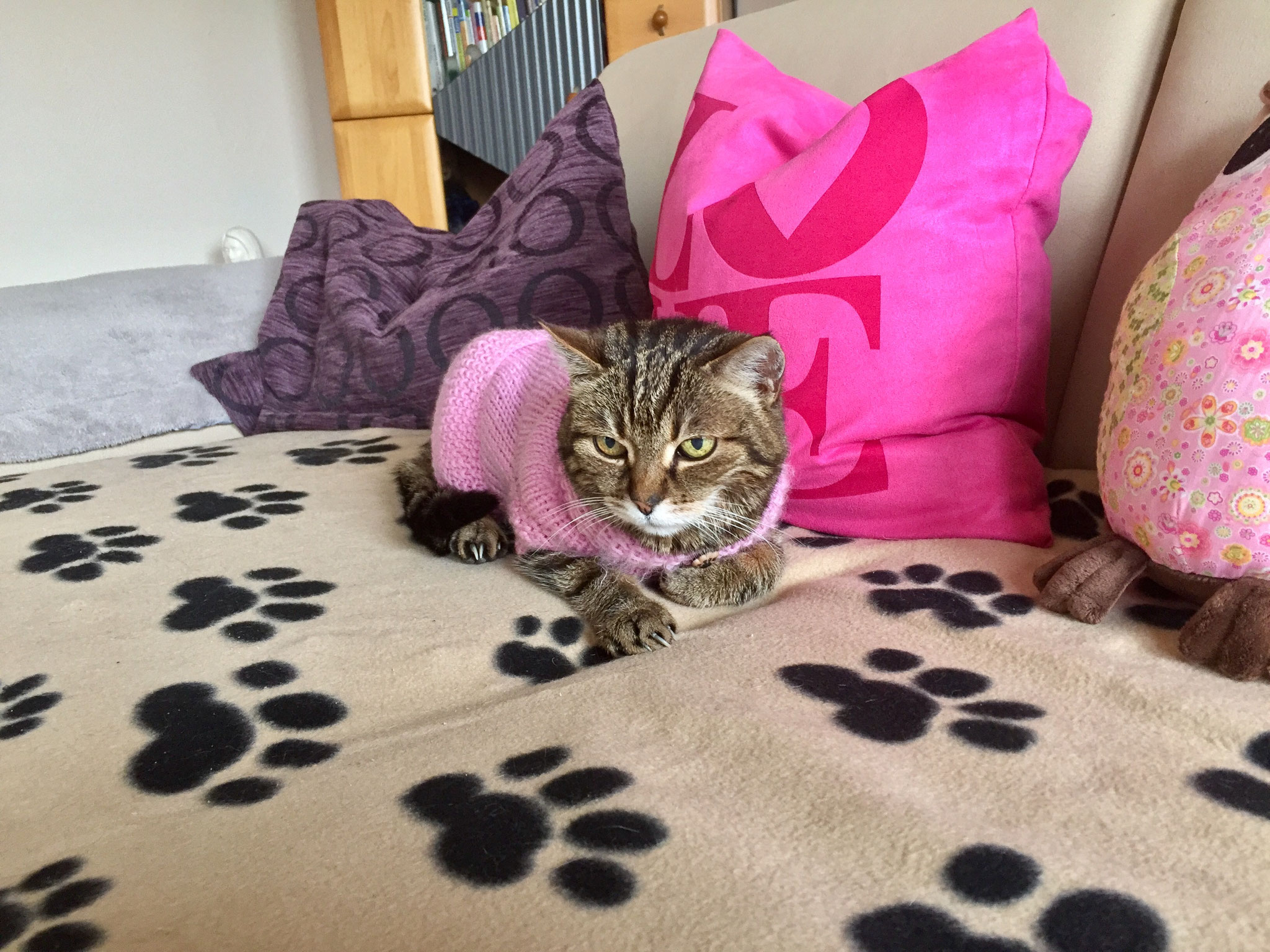 Ronja, gest. 2017 (geb. 1997)