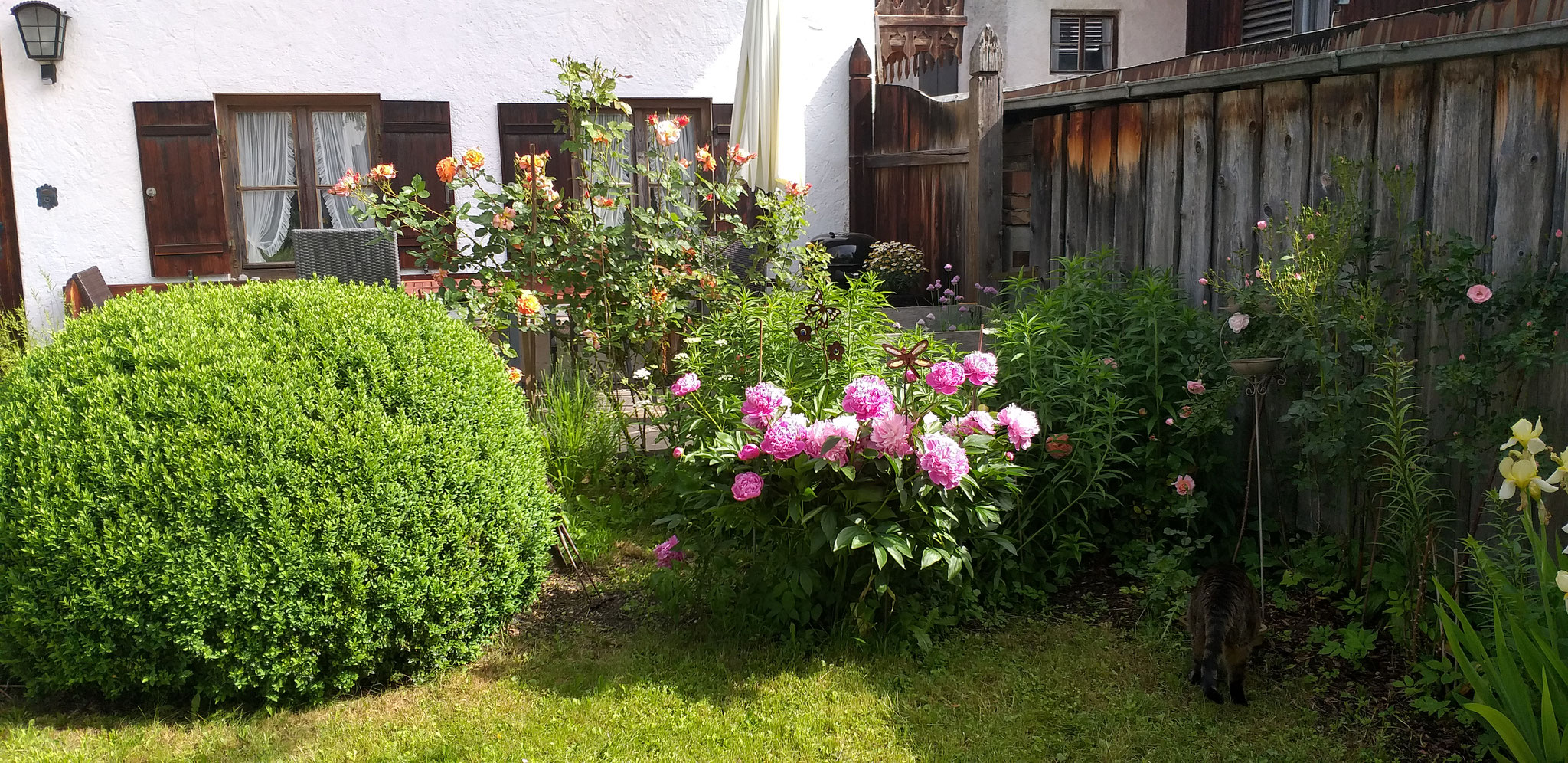 Garten mit Terrasse