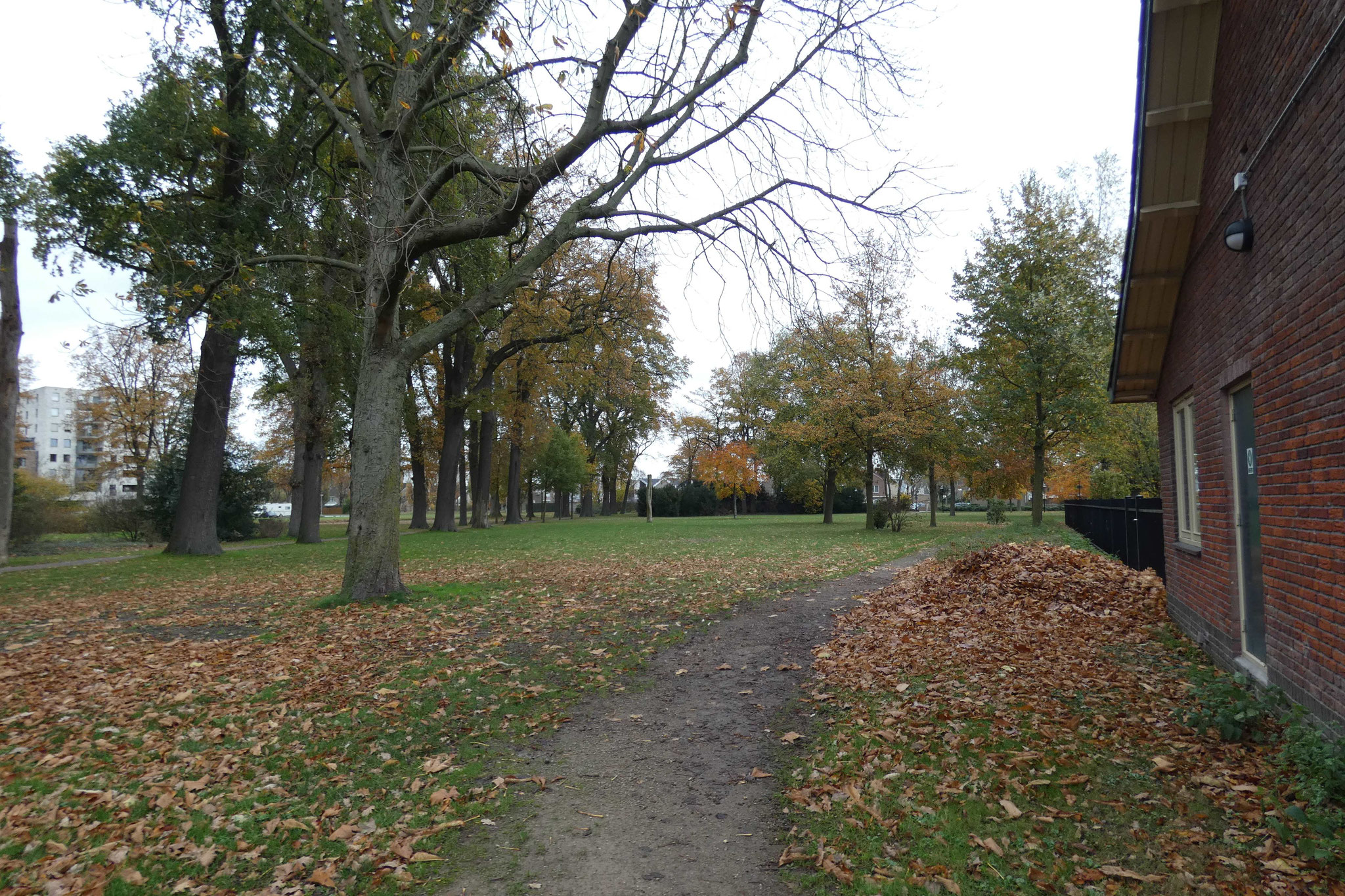 Impressie van het park, met links de eikenlaan. 