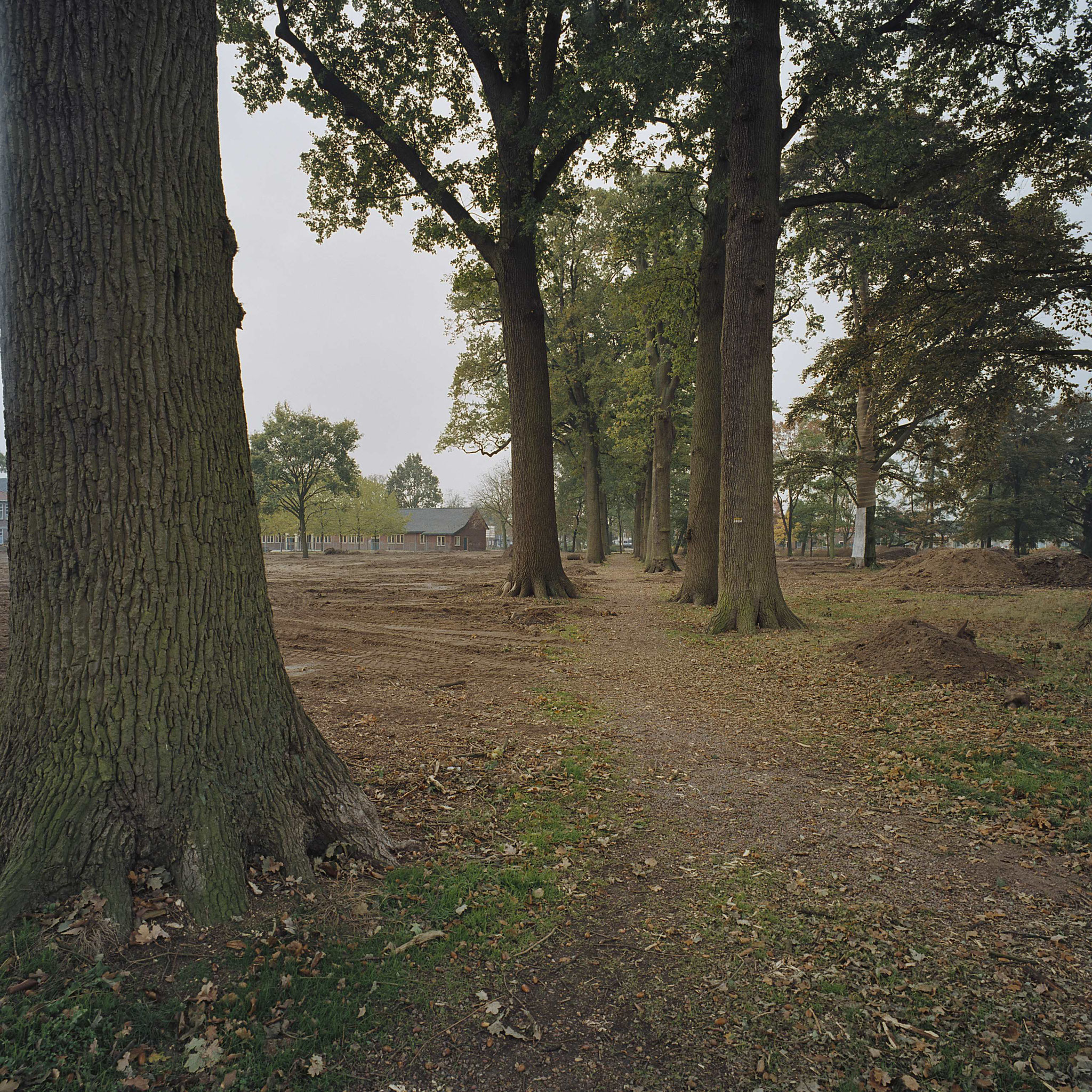 Het park tijdens de werkzaamheden in 2003. Het terrein aan weerszijde van de eikenlaan wordt nagenoeg volledig gerooid (bron: beeldbank RCE).