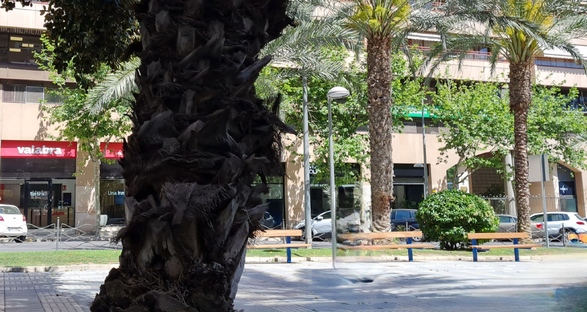 Busco oficina en alquiler para trasladar despacho profesional en el centro de Alicante para establecer y expandir negocio en ubicacion prime Alicante, la mejor zona de negocios junto al puerto