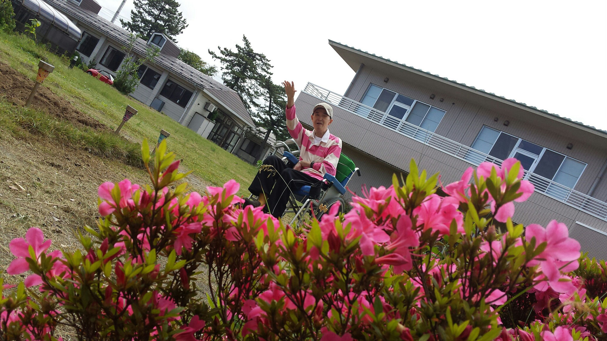 番外編：植え替え後の苗におまじないをかけるＦさん