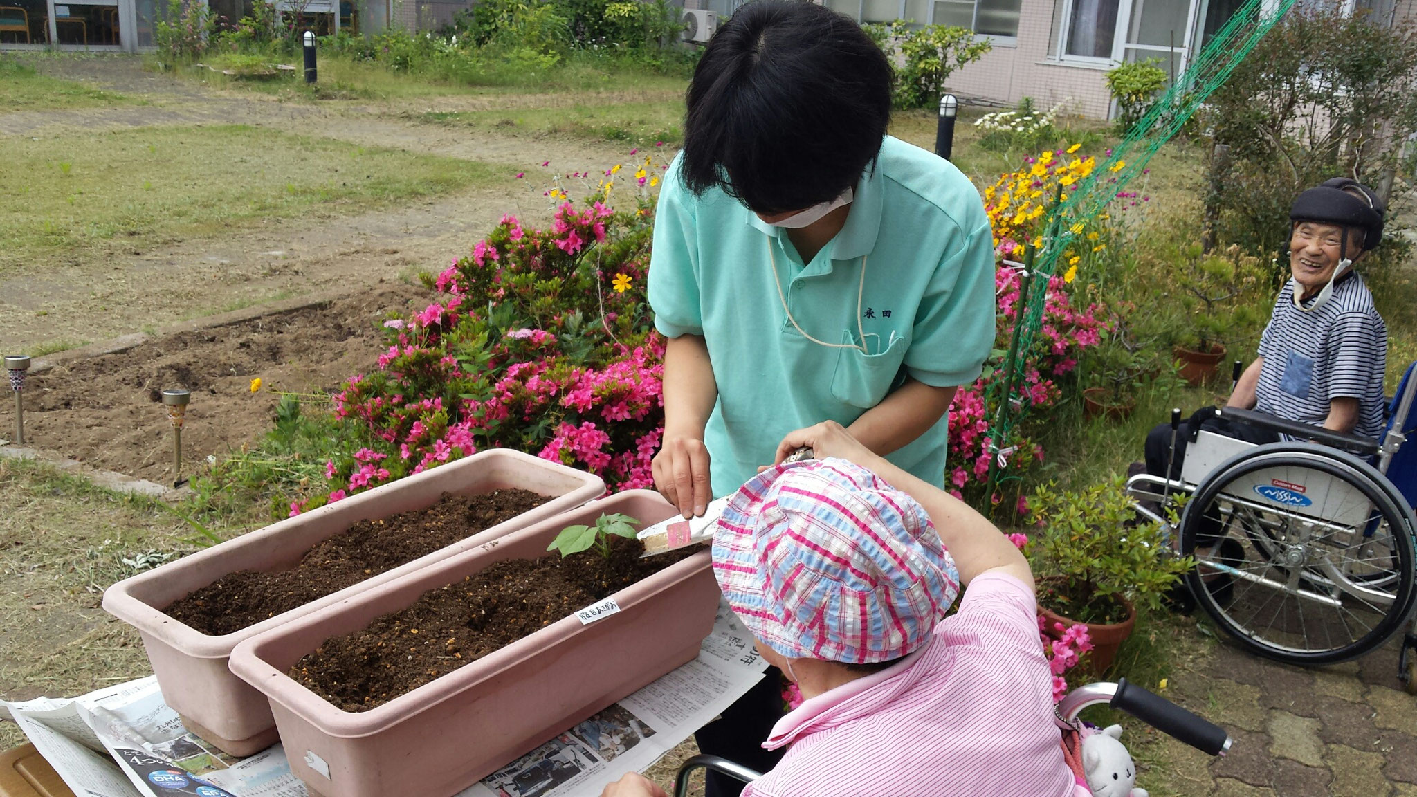 プランターへの植え替えの様子。楽しみにしていますよ