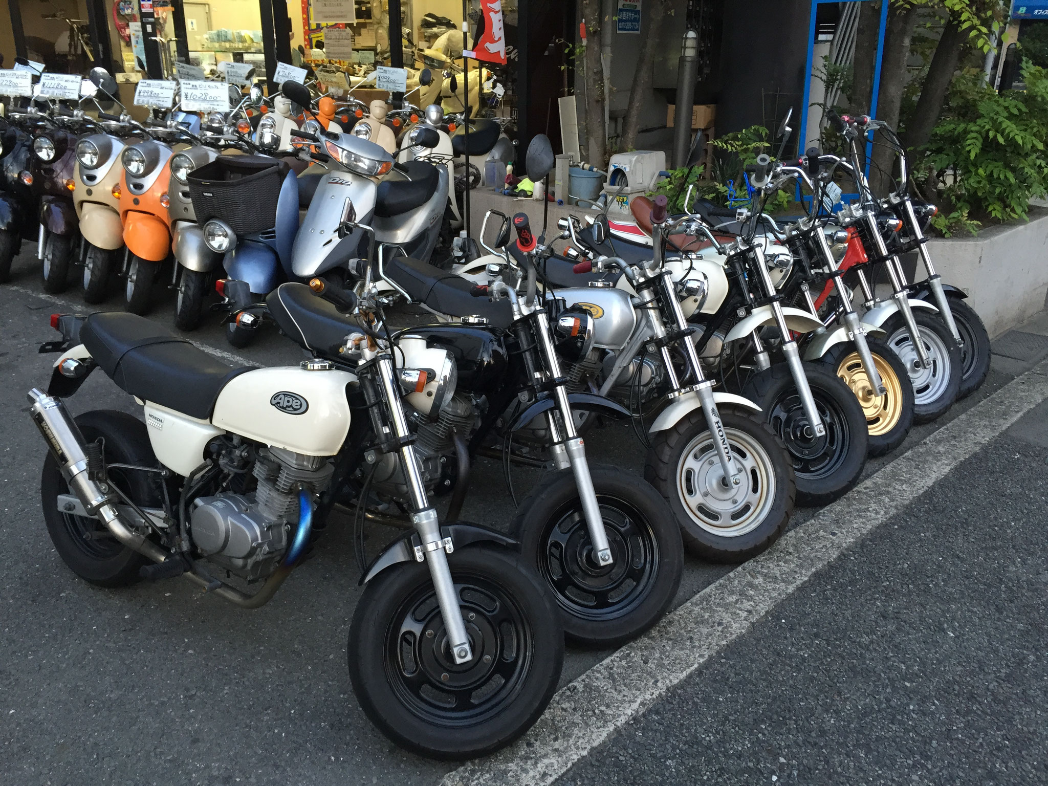 エイプ100 カーボンフェンダー ape100 Ape （エイプ） - バイク