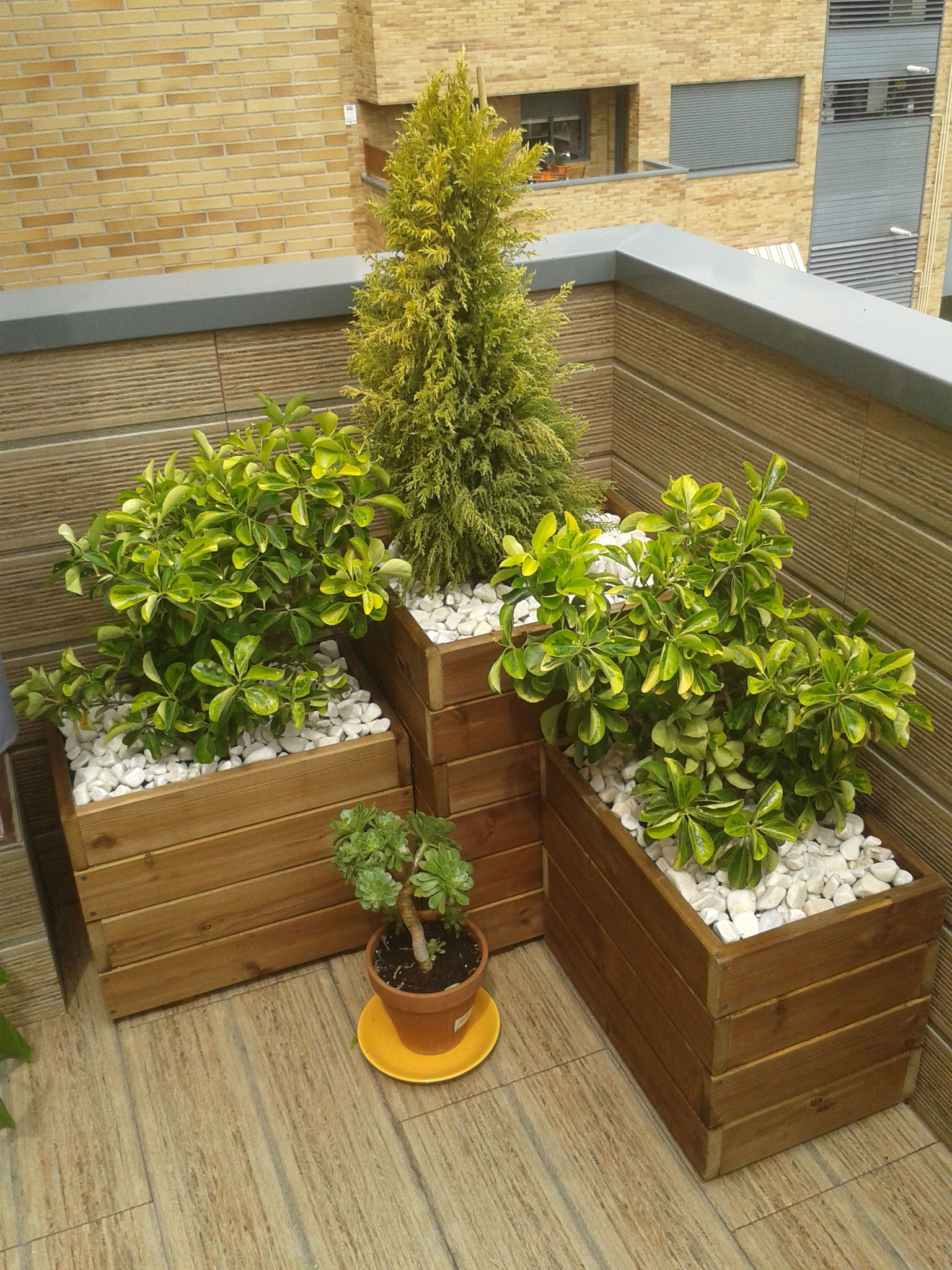 jardineras