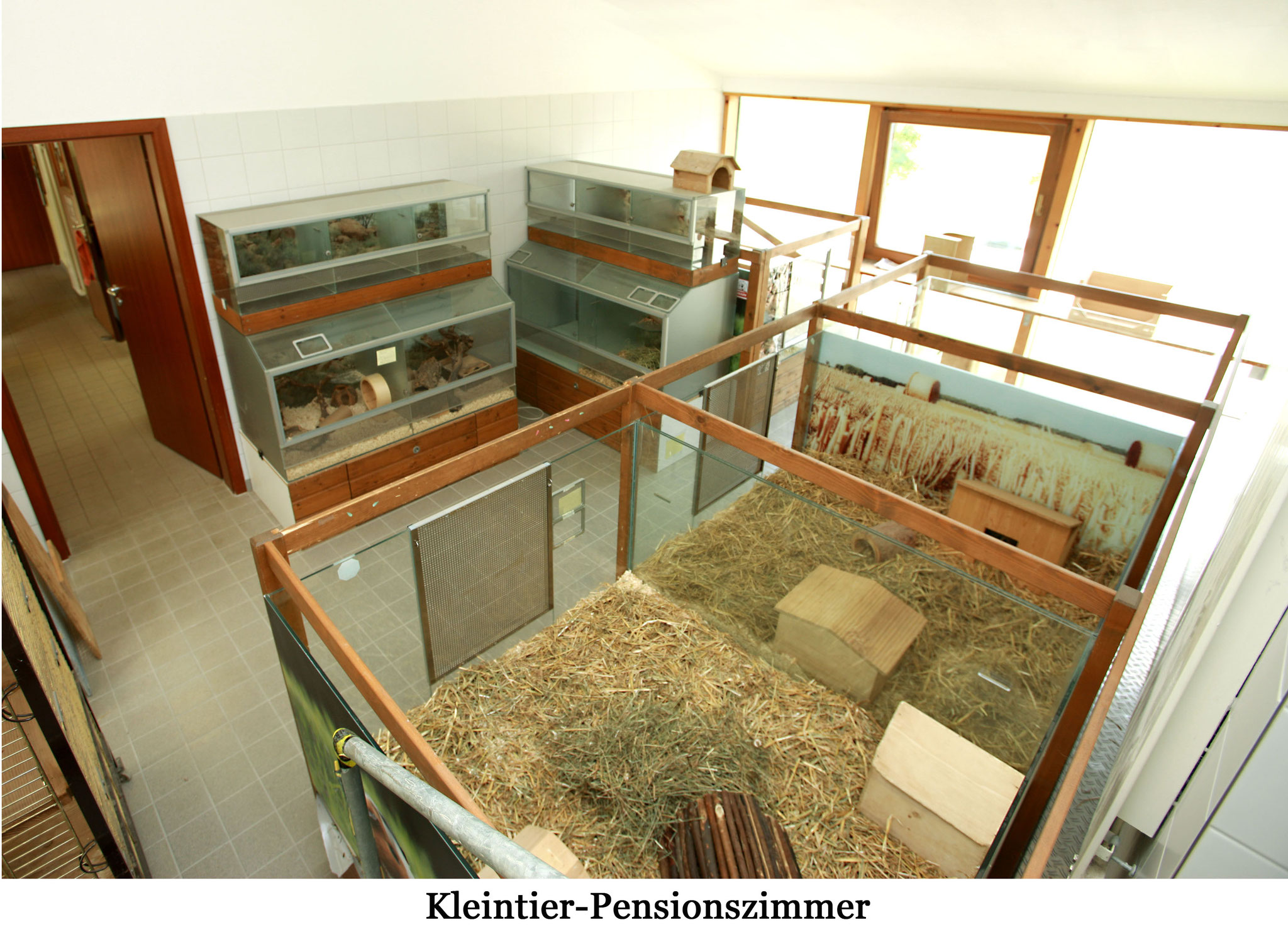 Immer auf dem Laufenden bleiben tierschutzverein tuebingens Webseite!