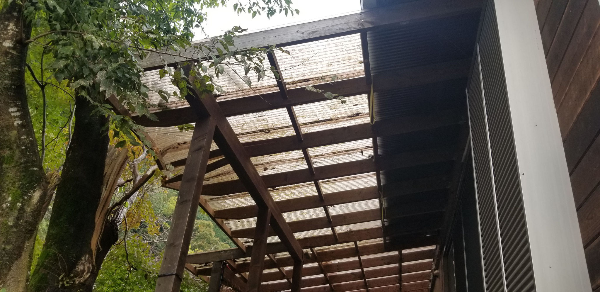 台風で折れた垂木