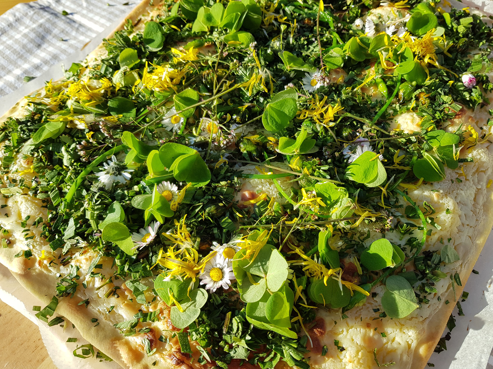 Flammkuchen mit Wildkräutern direkt von der Wiese