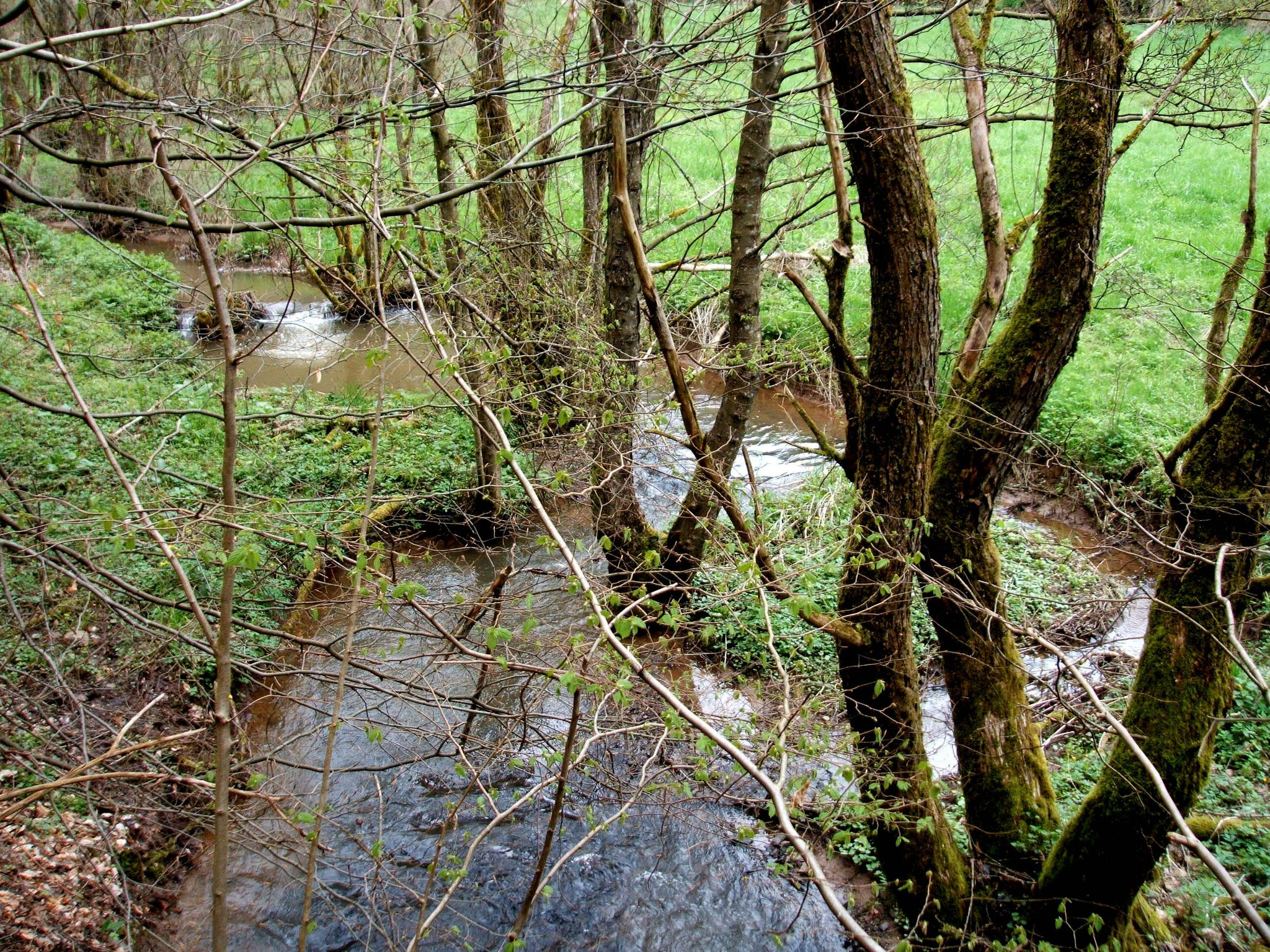 Trombach kurz oberhalb der Mündung in die Lieser