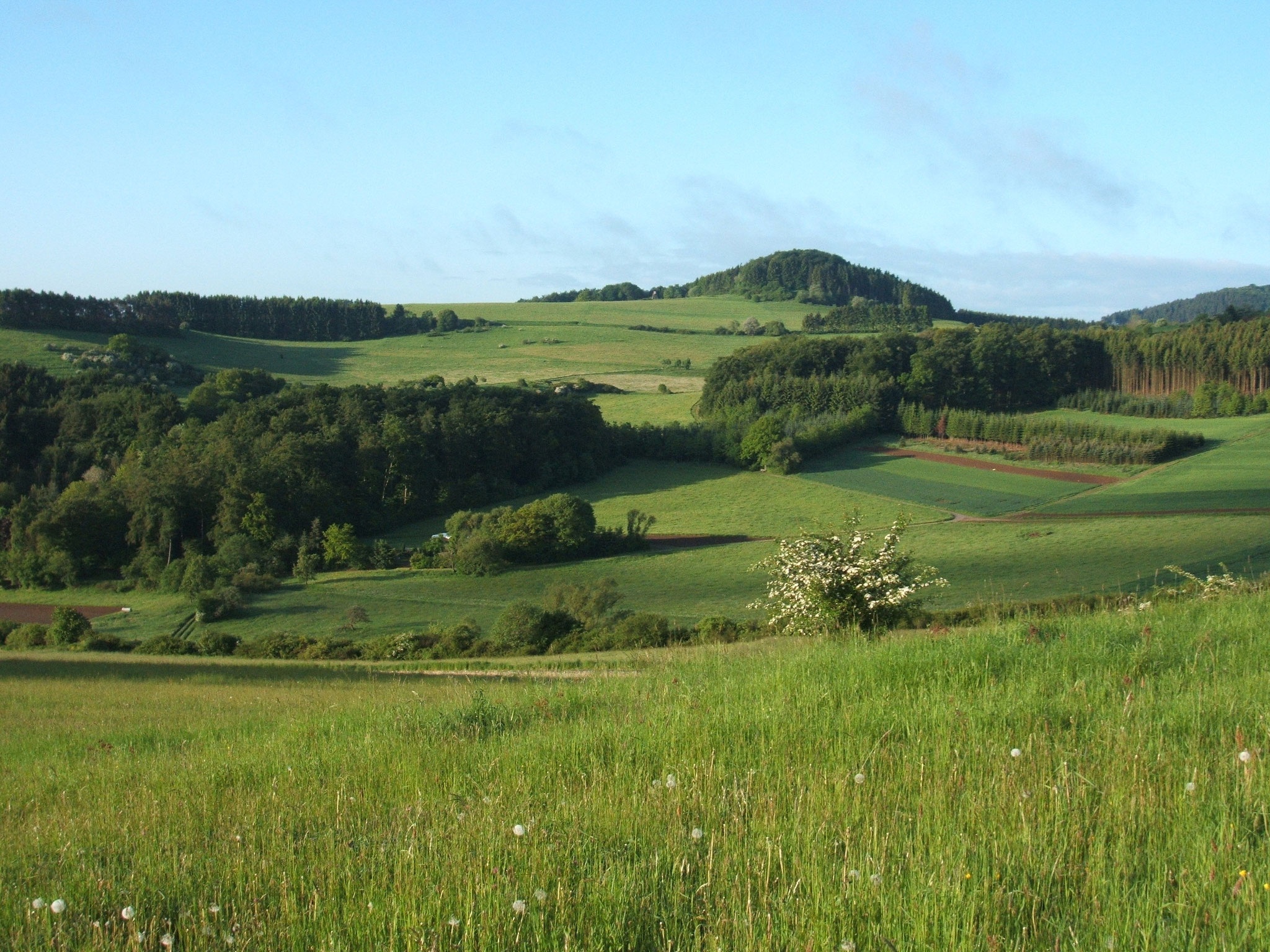 Hippersbachtal mit Vulkanberg Riemerich bei Daun-Neunkirchen