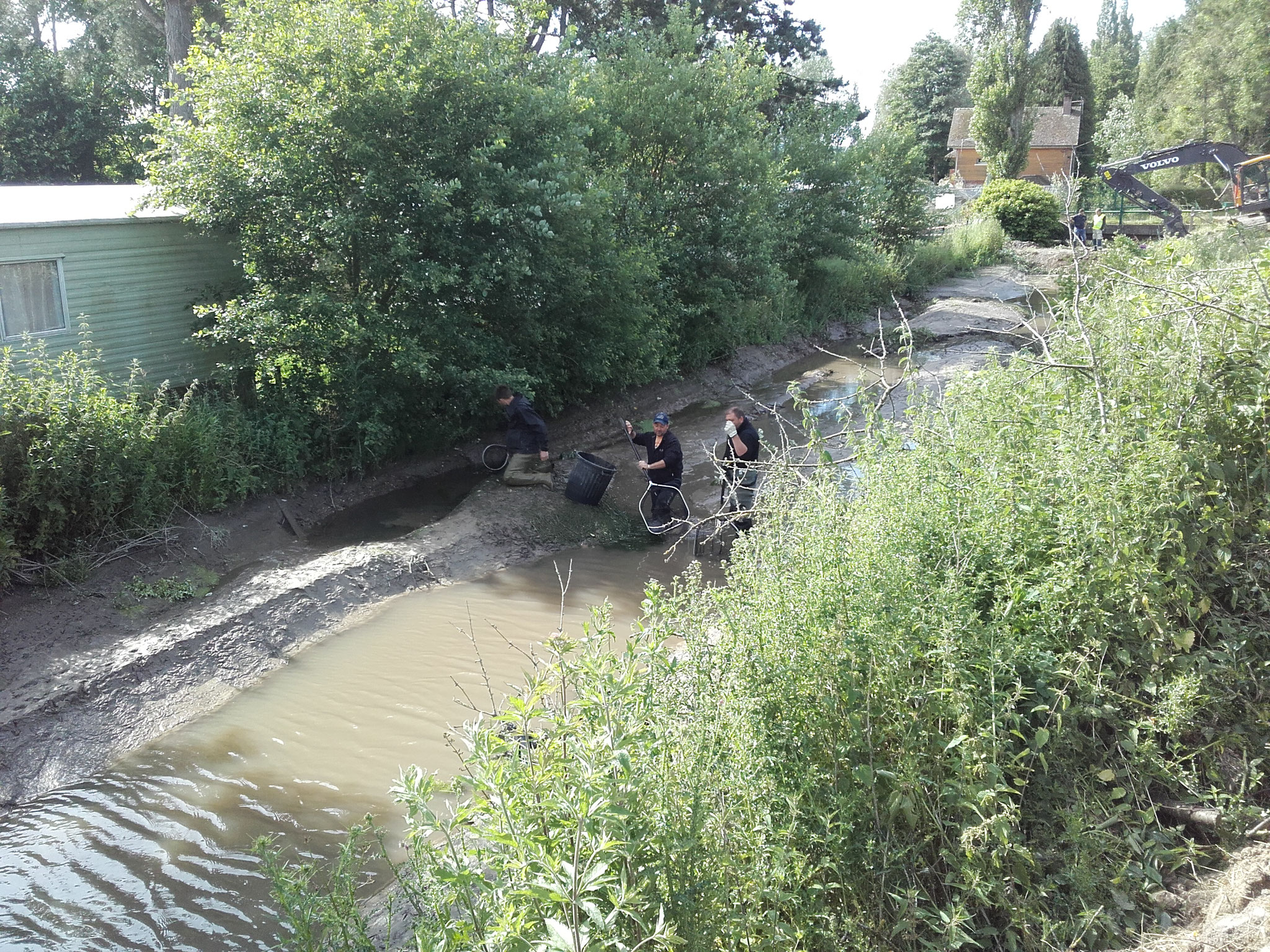 Pêche de sauvetage dans le bief