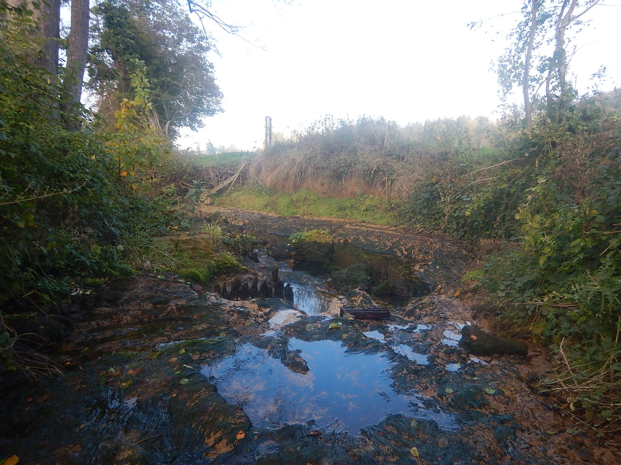 Assèchement du bras de dérivation dû à la baisse du niveau d'eau entraînée par le dérasement des deux  seuils